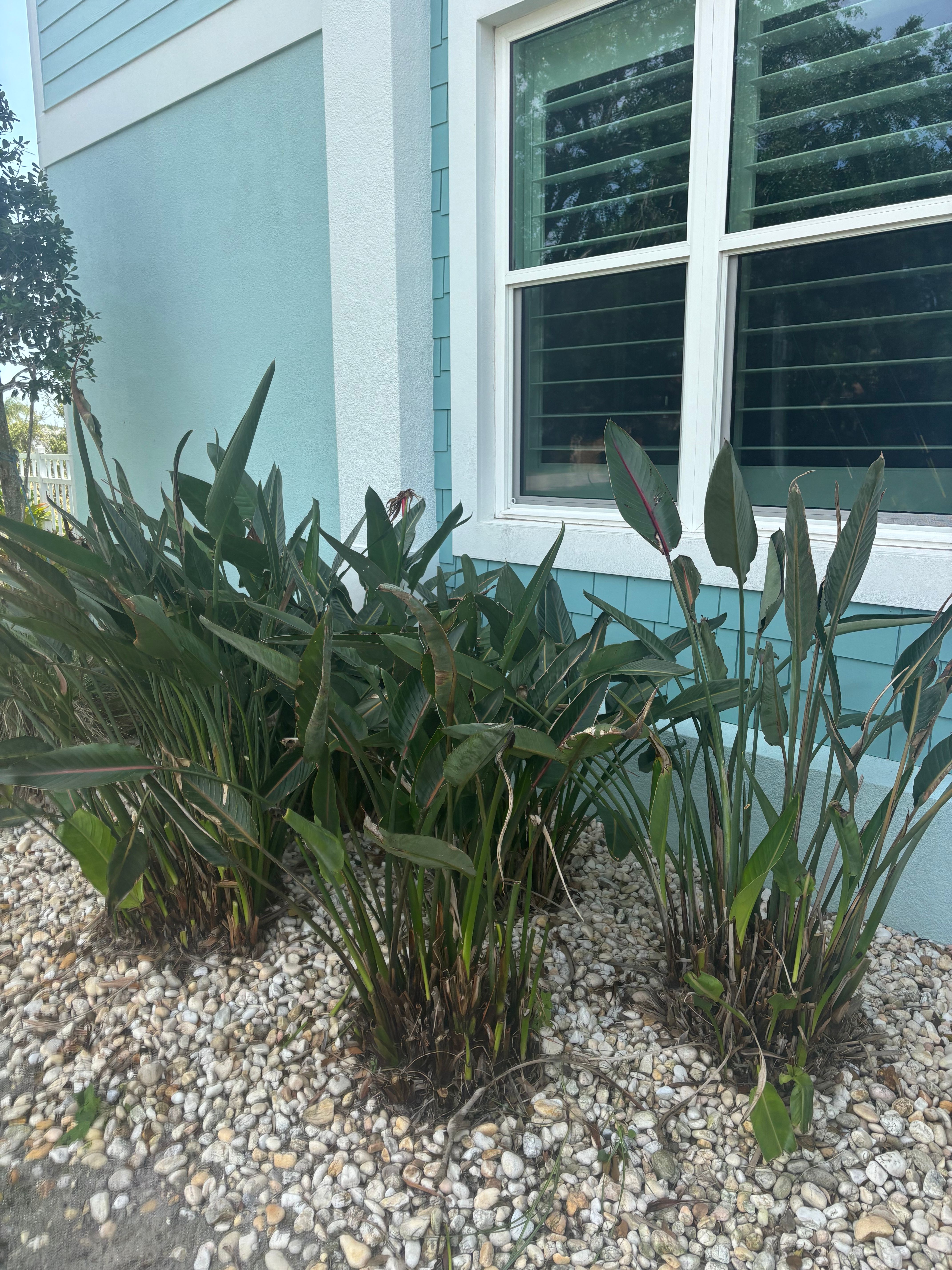  for Vanic's Landscaping in Port Orange, FL
