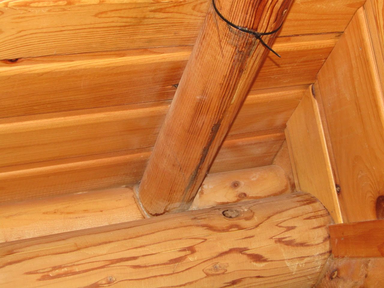  for Kenneth Fuller in Cleveland, MN