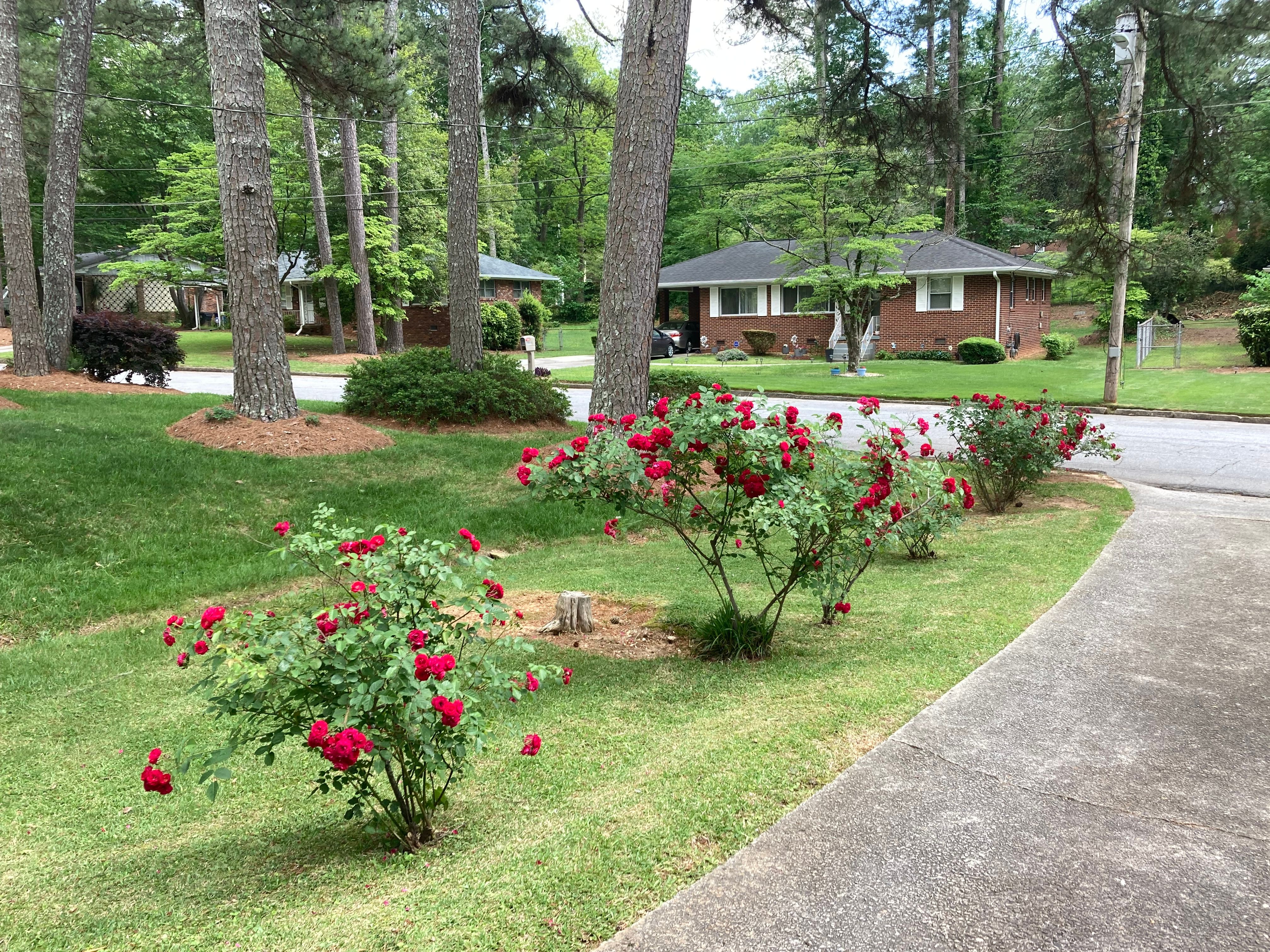 All Photos for Aries Lawnscapes in Atlanta, GA