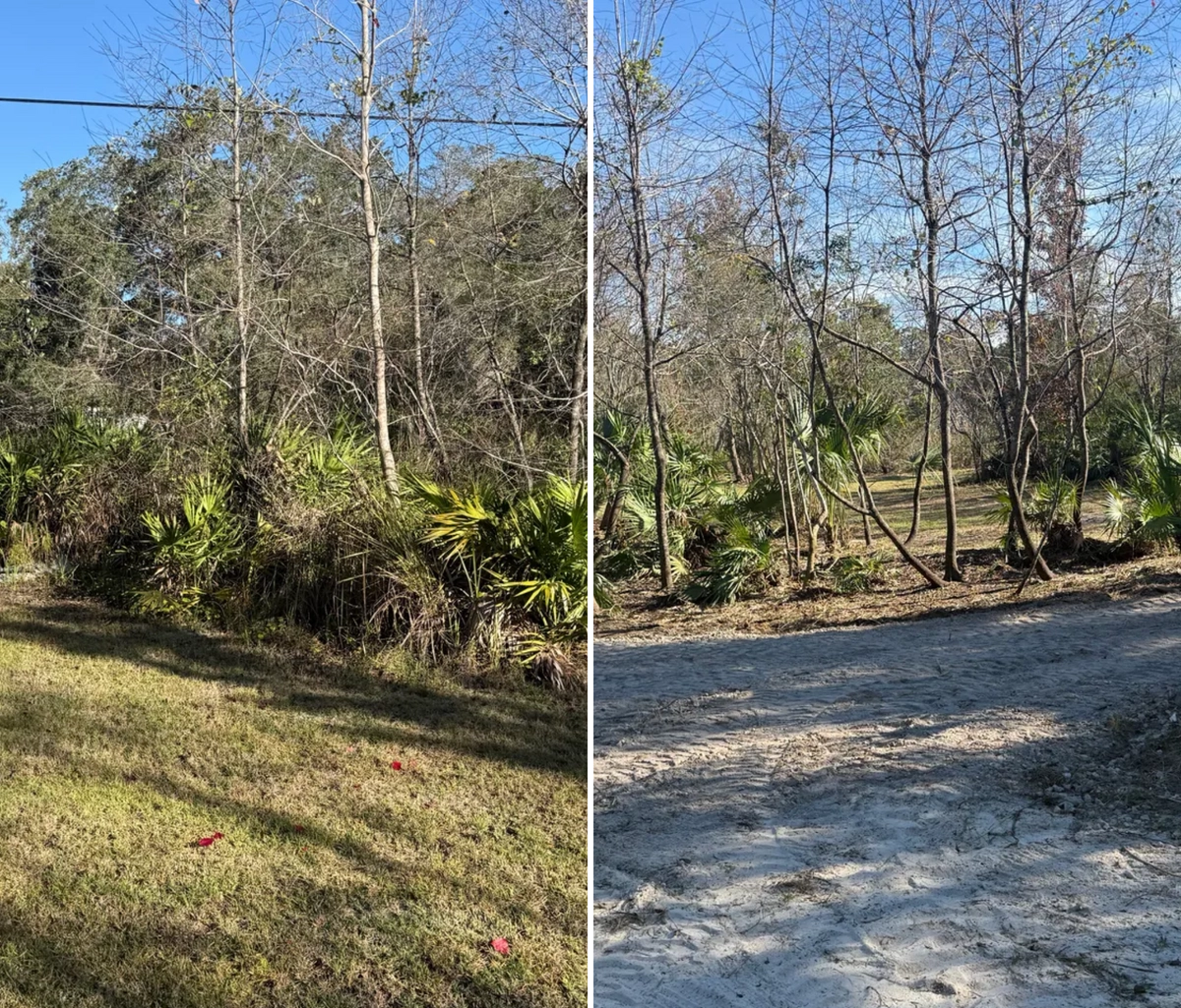  for Amerigrown Tree And Lawn in Apopka, FL