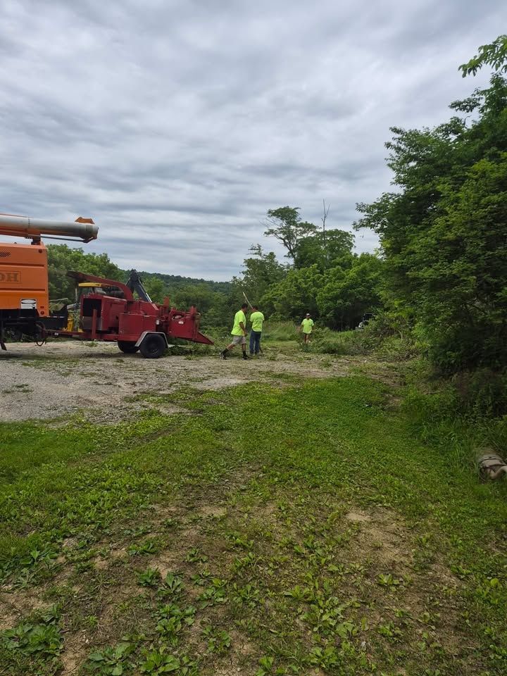  for Carpenter's Tree Service in Aurora, IN