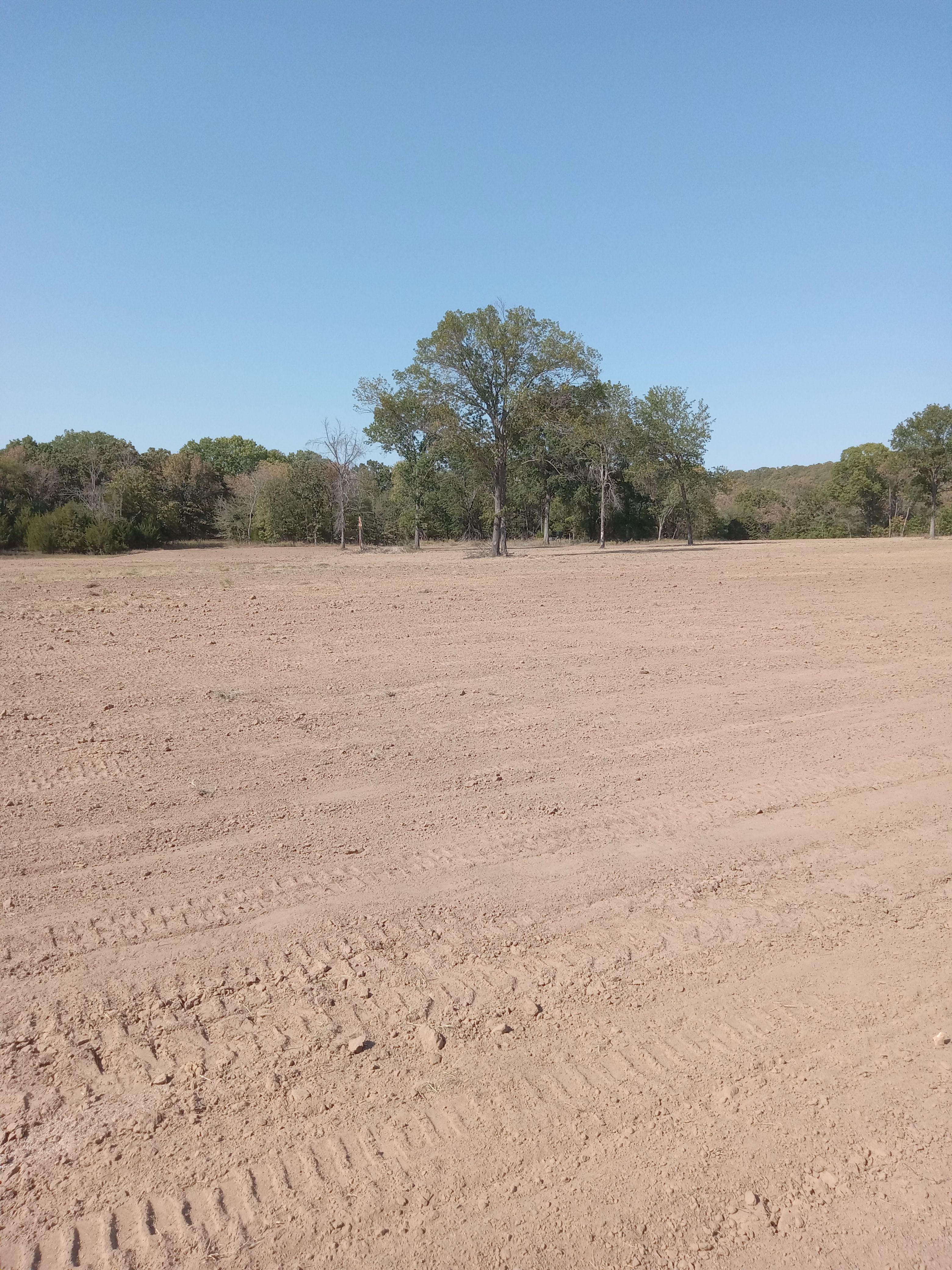 All Photos for McCormick Dozer Service in Bristow, OK