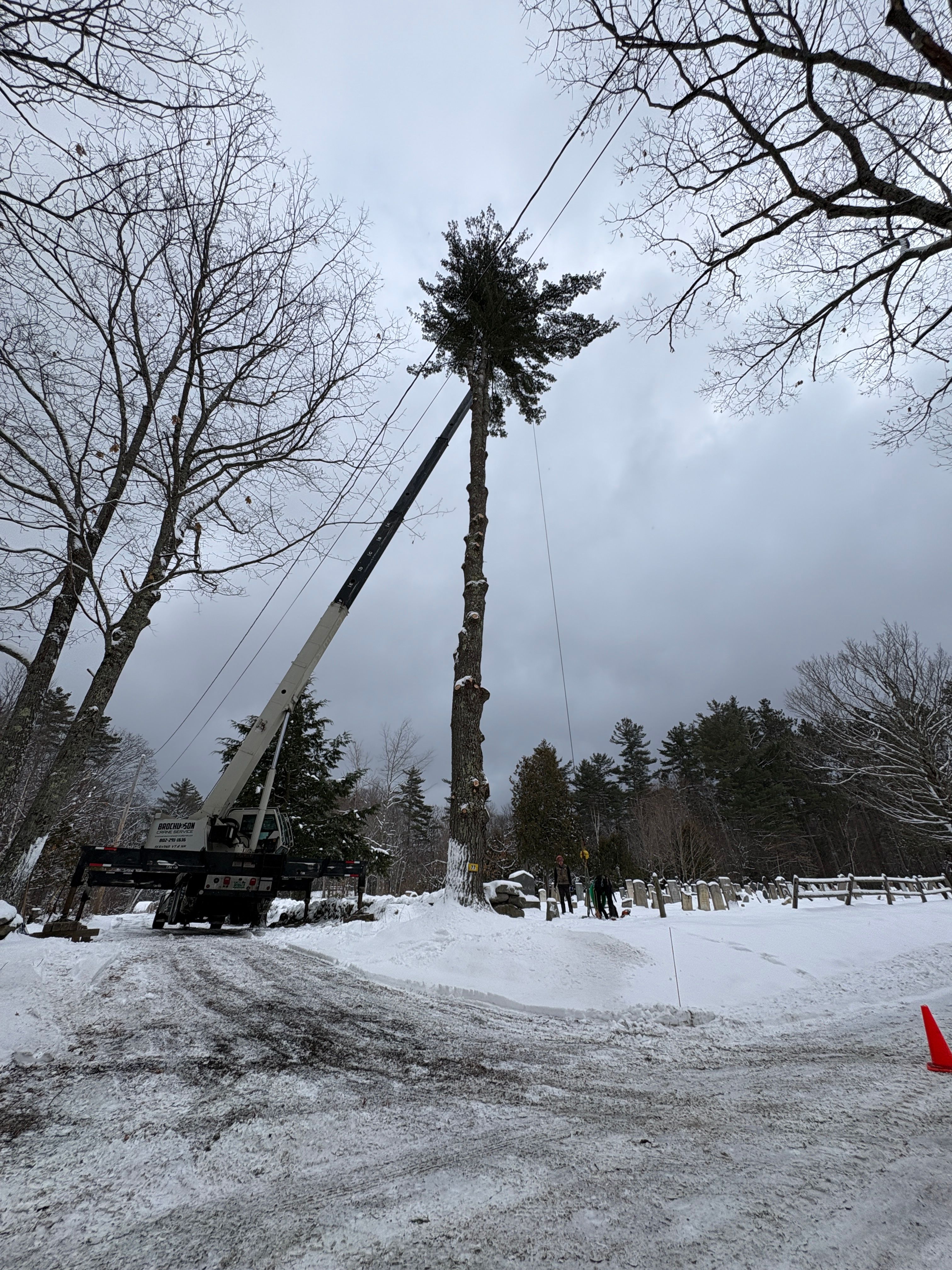 All Photos for Clifford’s Quality Tree Care & Landscaping in Enfield, NH