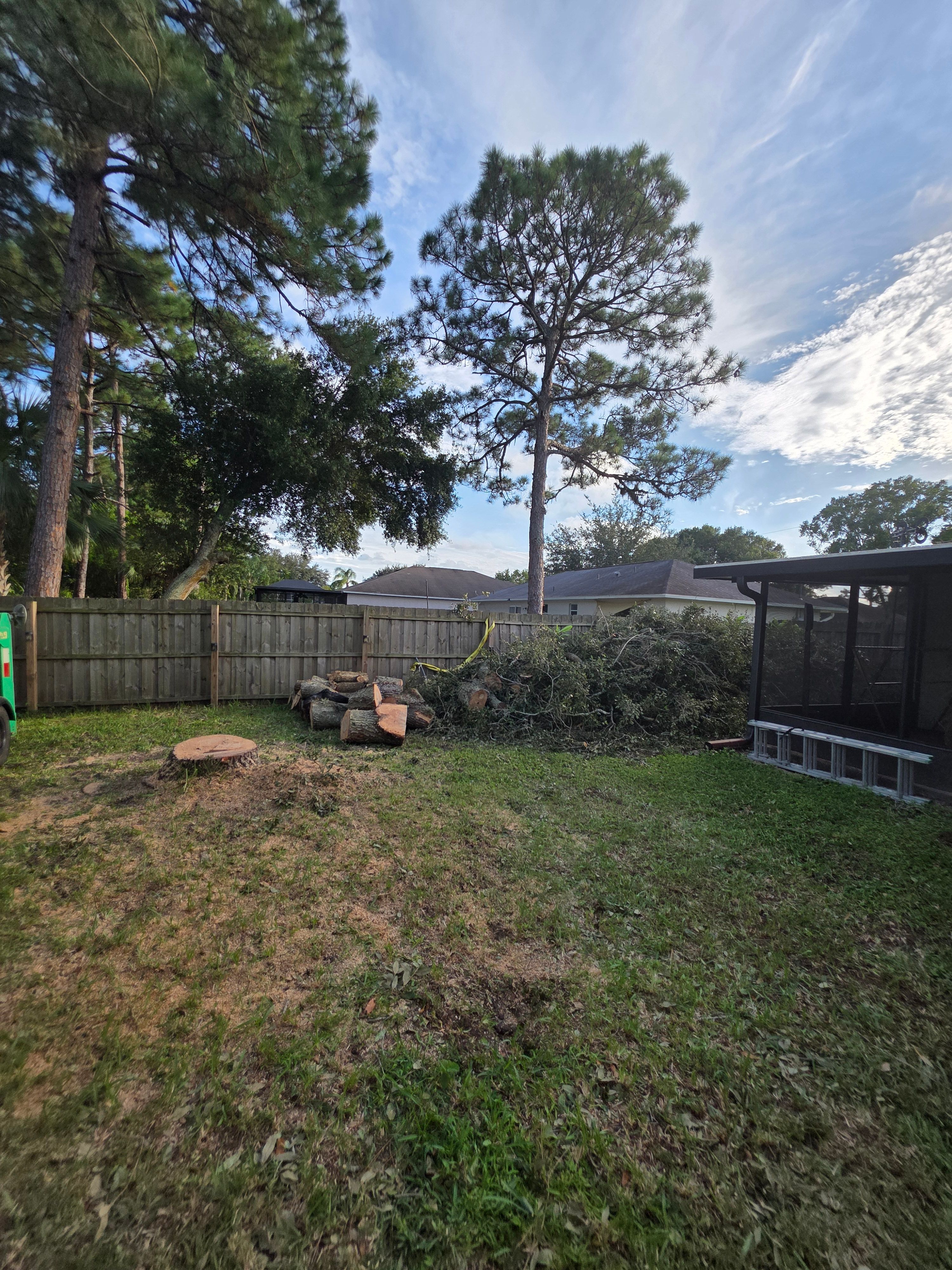 All Photos for Highlife Tree Care And Landscaping in Altamonte Springs, FL