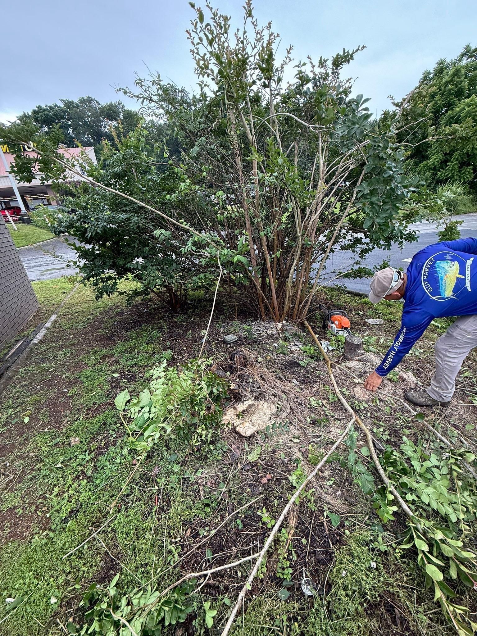  for Wesleys Landscaping in Clinton, TN