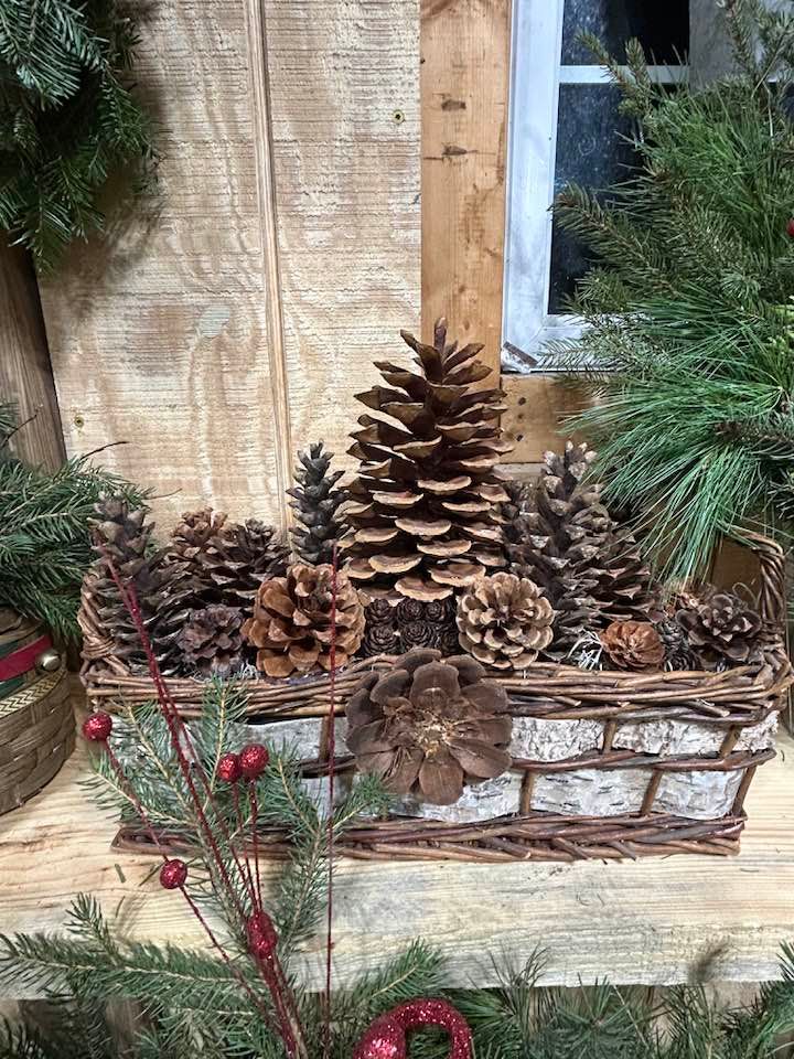  for Spring Creek Evergreens in Red Wing, MN