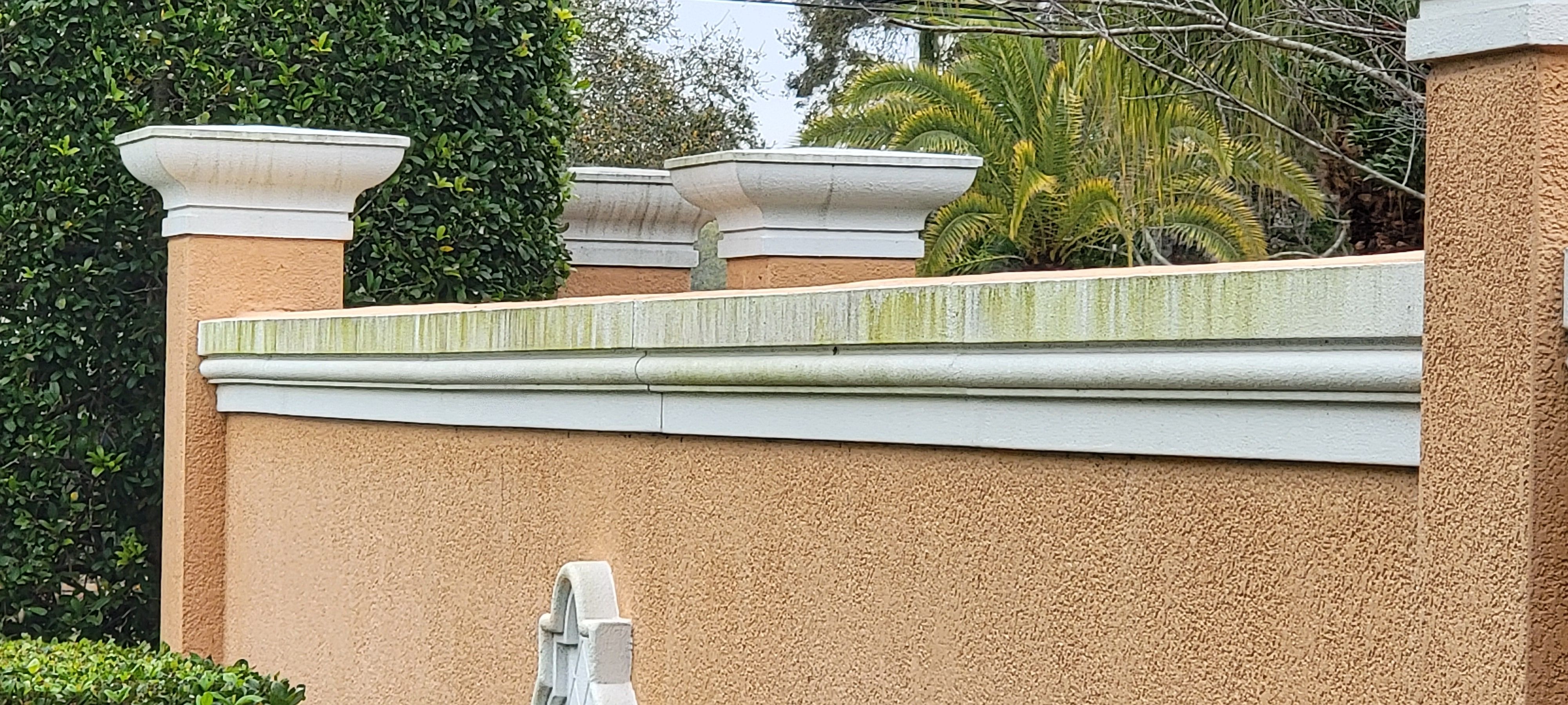  for Blue Stream Roof Cleaning & Pressure Washing in Tampa, FL