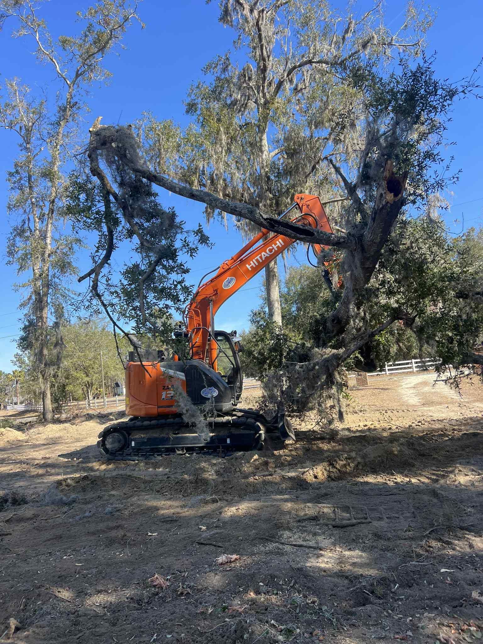 for DLC Land Clearing in Glen Saint Mary, FL