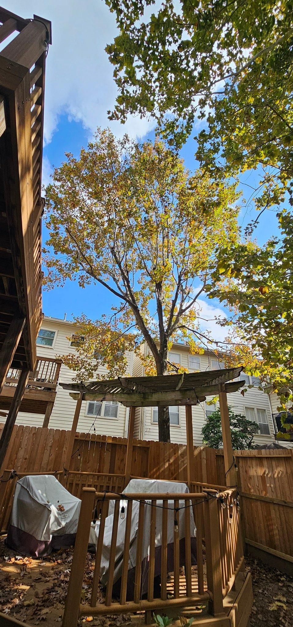  for Servin's Tree Care  in Houston, TX