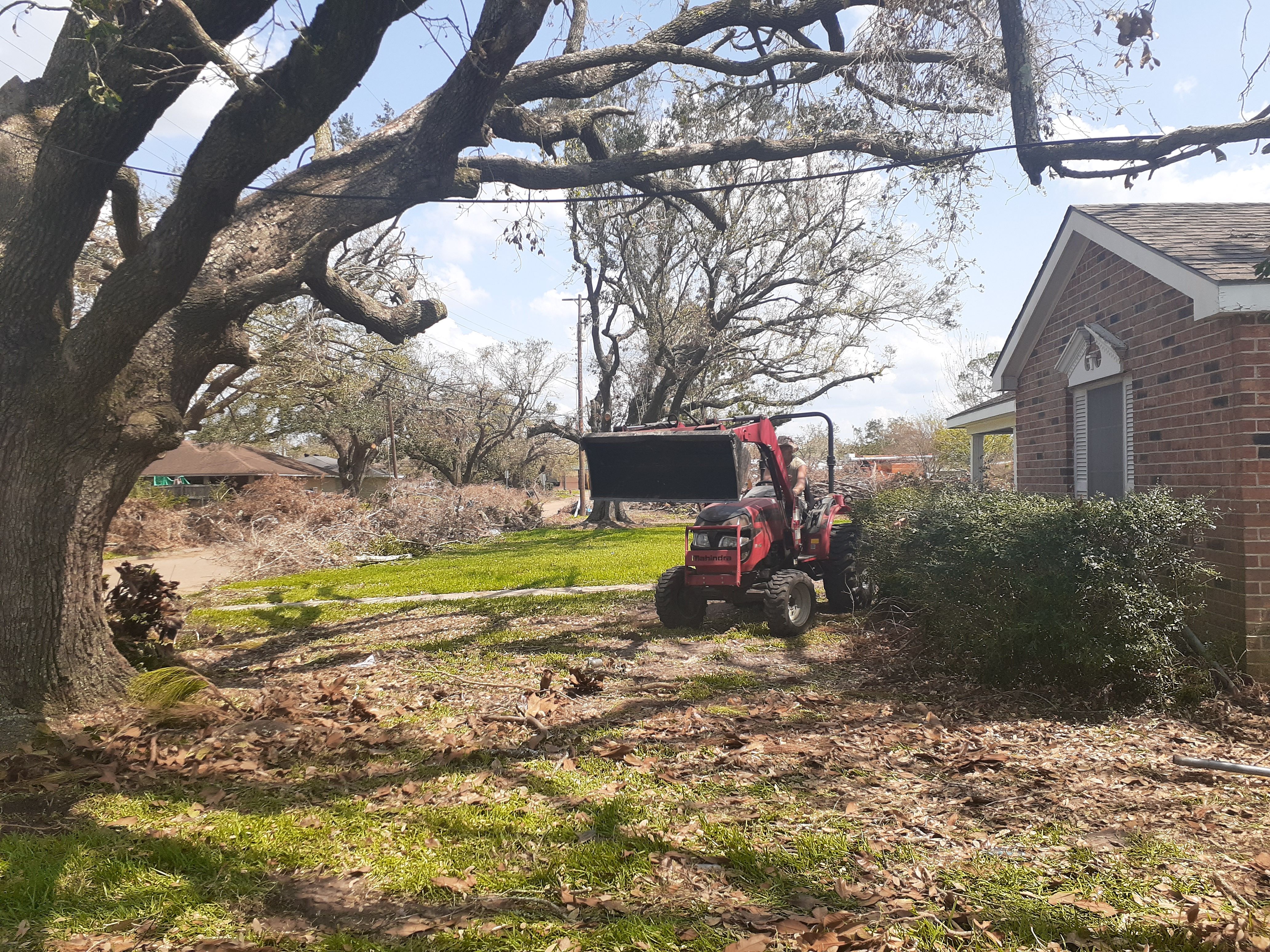 for Professional Tree Service USA in Chattanooga, TN