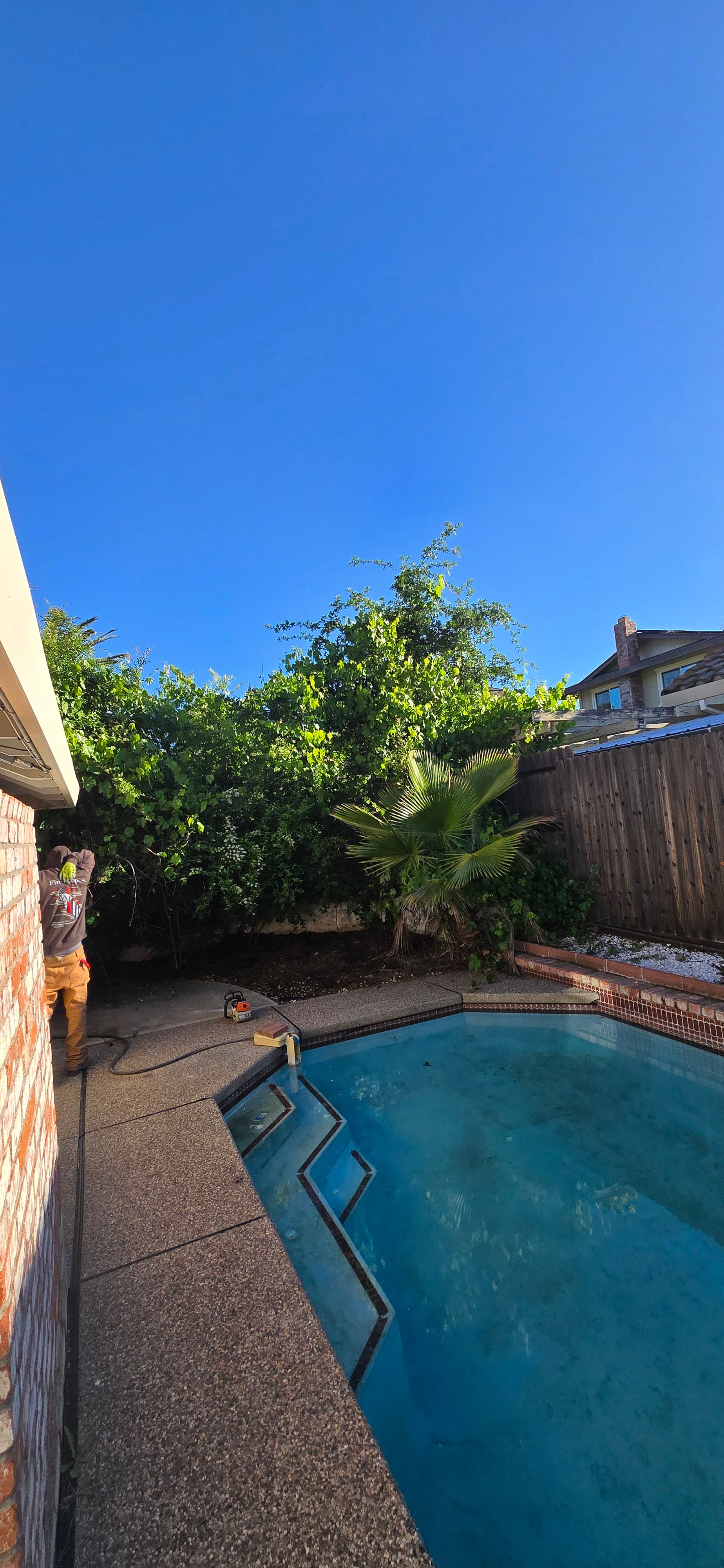  for George Staddan's Professional Tree Care in Placerville, CA