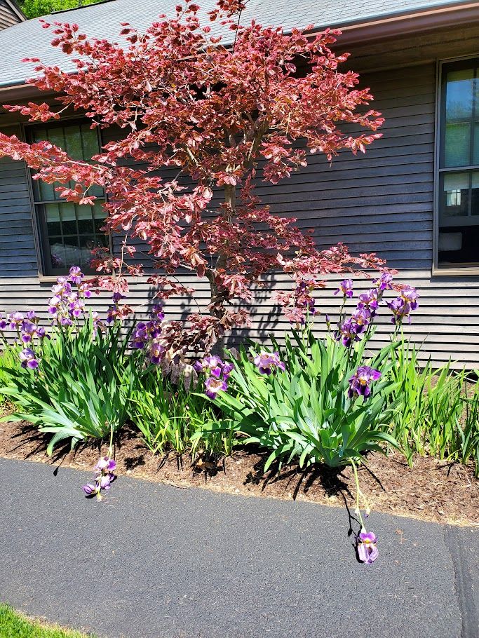  for Evolution Earthscapes, LLC in Ludlow, MA