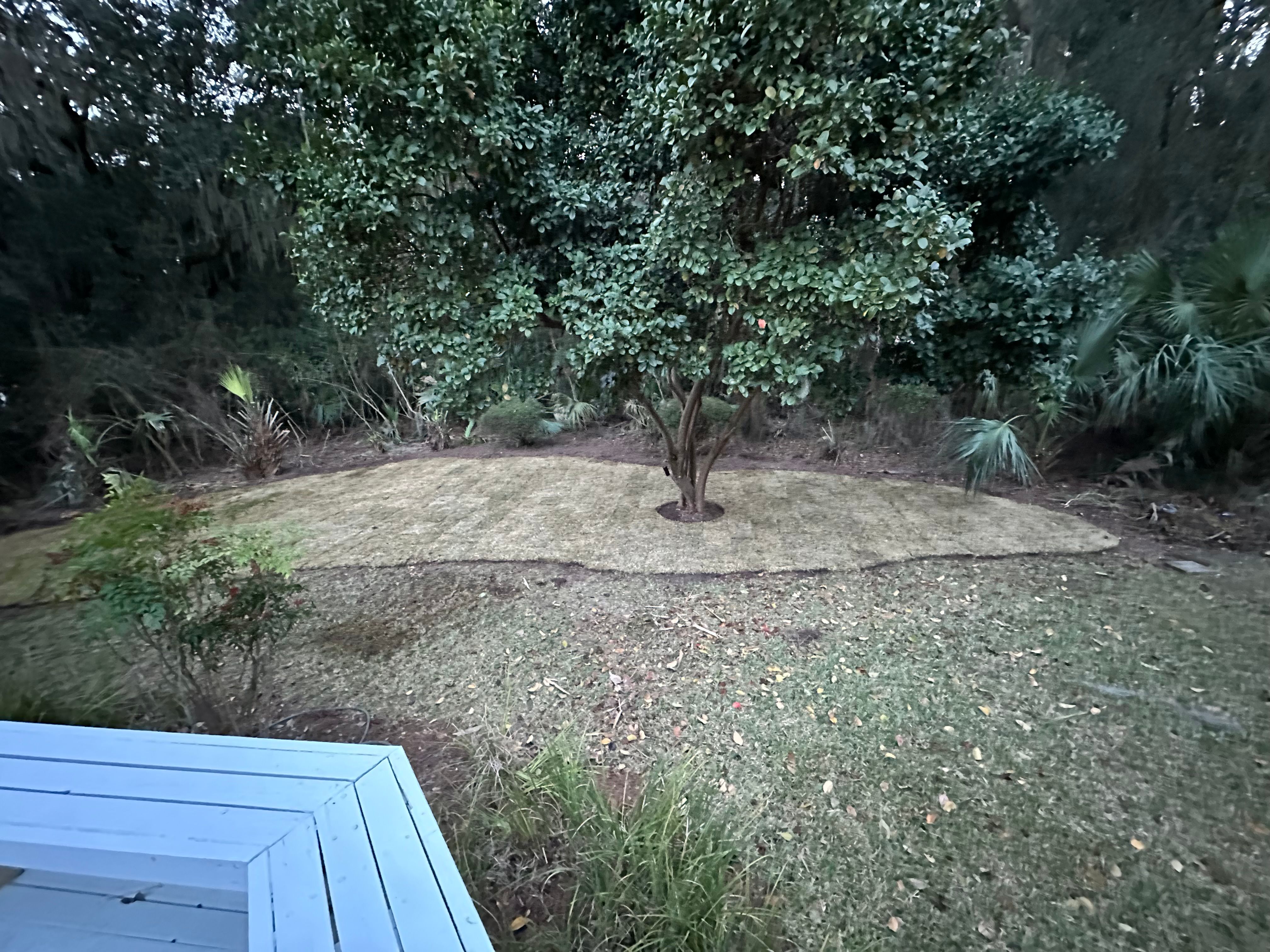  for Coastalscapes Landscaping & Turf Management  in Savannah, GA