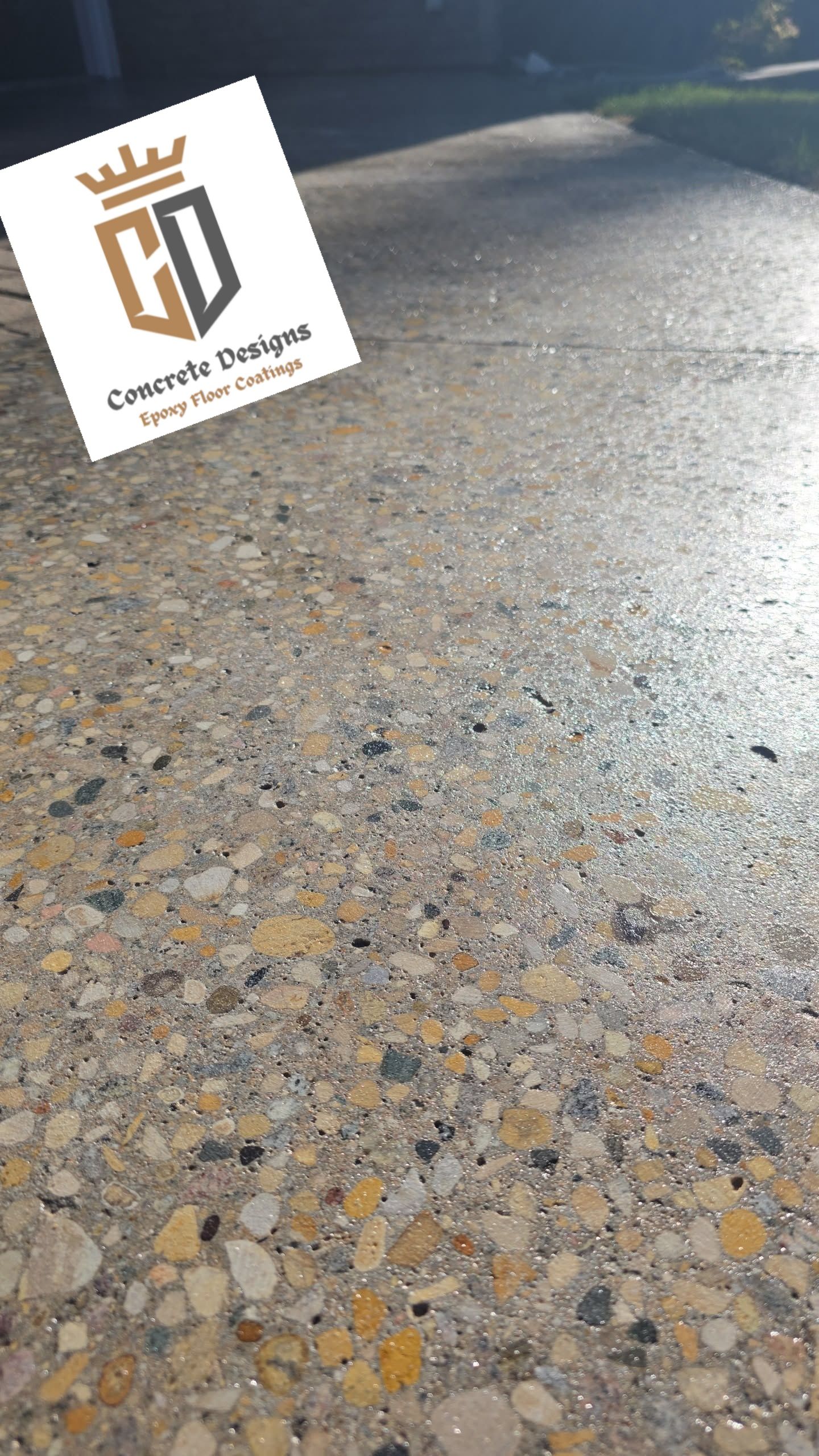  for Concrete Designs in Thief River Falls, MN