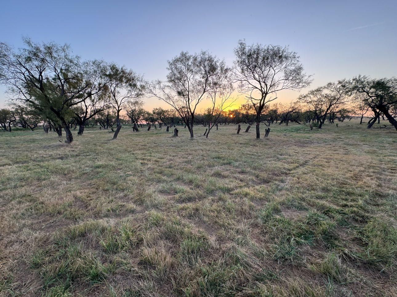 for Reaves Custom Homes LLC in Jacksboro , TX