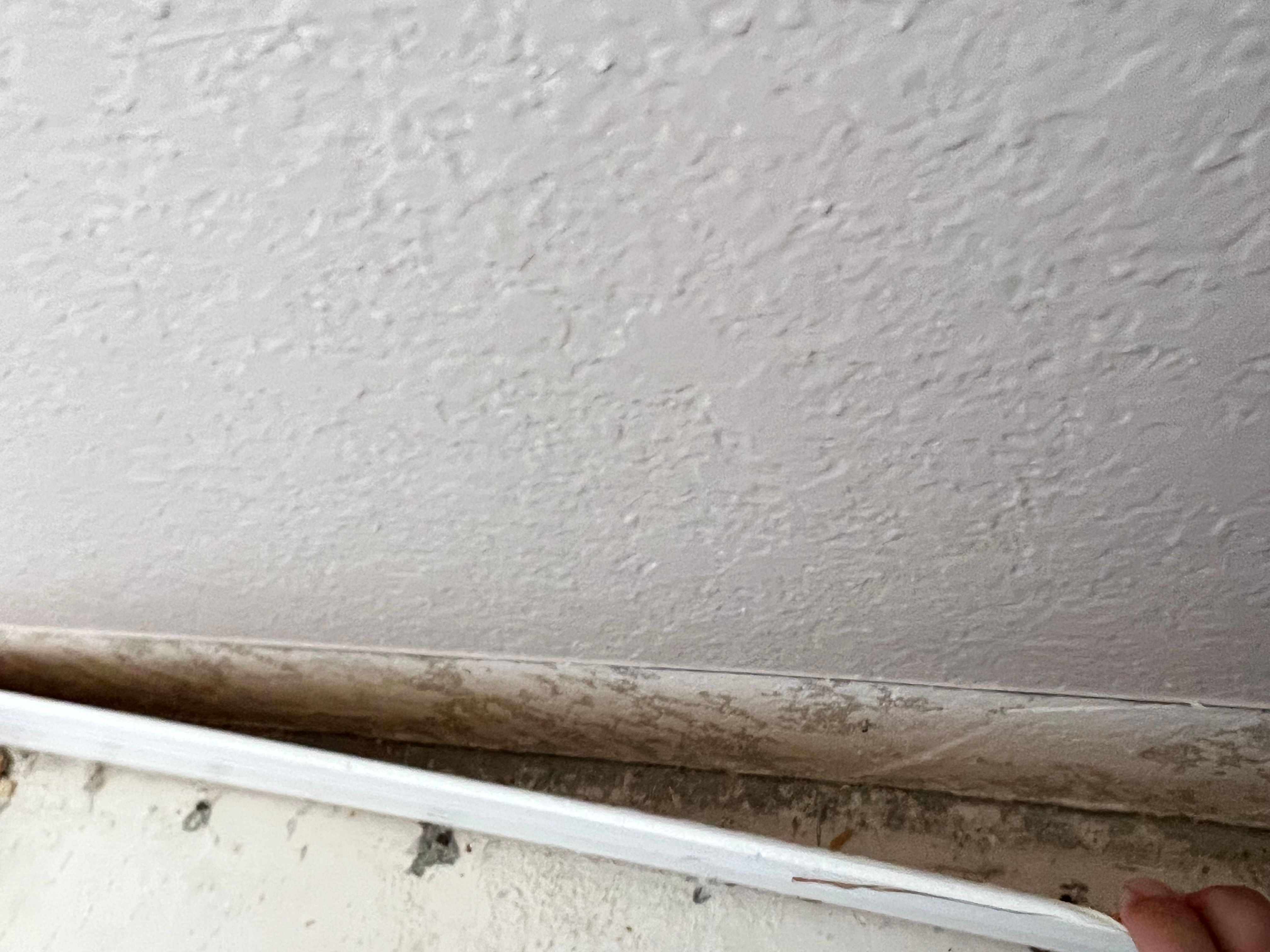  for N&D Restoration Services When Disaster Strikes, We Come In in Cape Coral,  FL