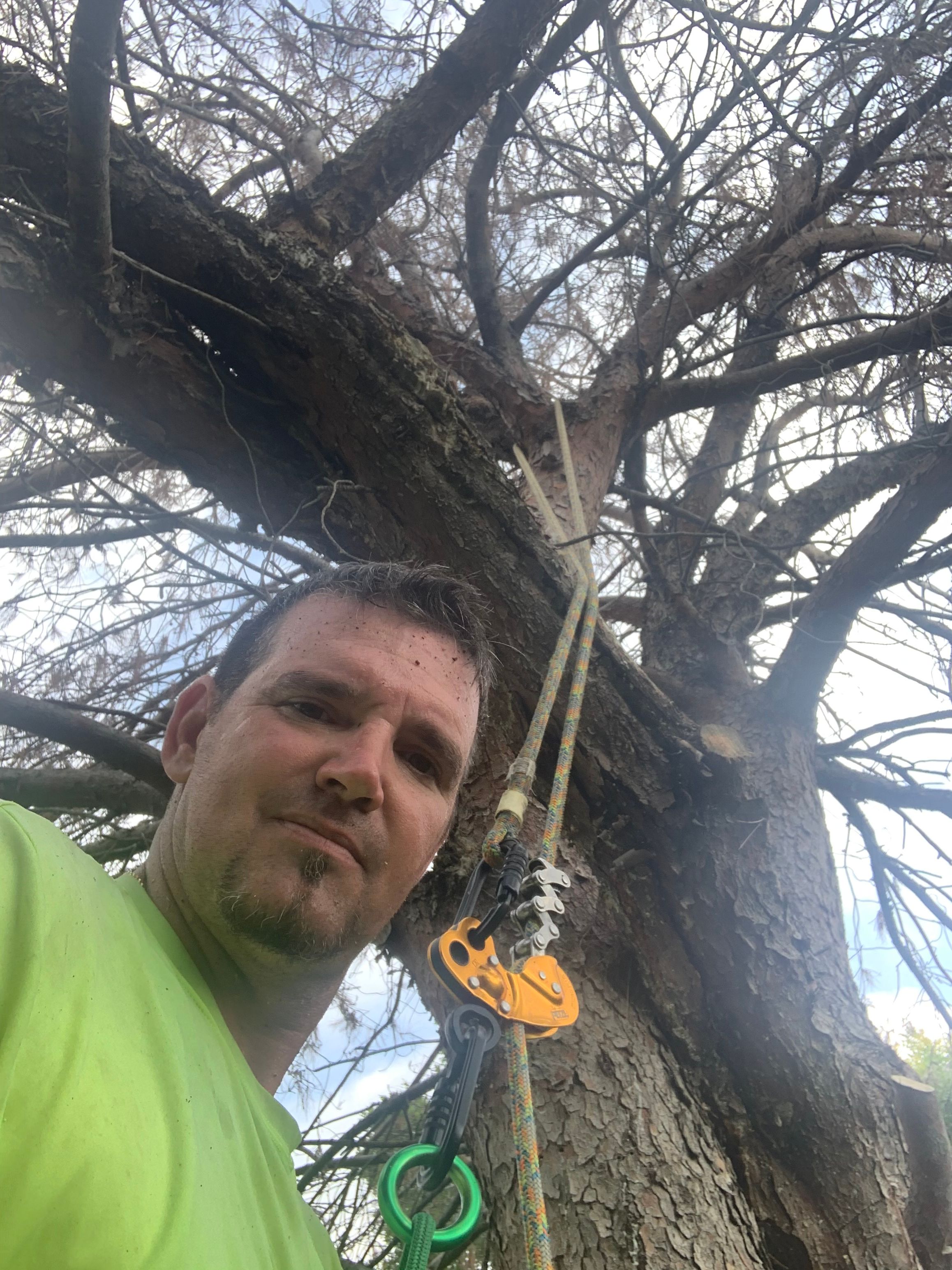  for TLC Professional Tree Service in Bedford, TX
