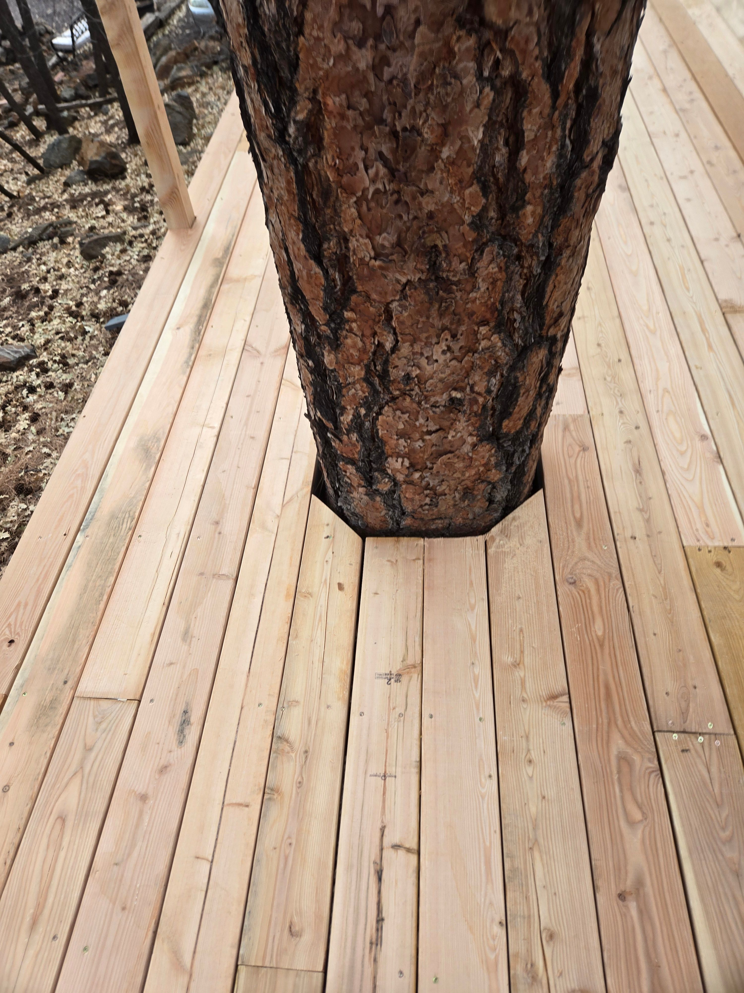 All Photos for Top Notch Construction in Munds Park, AZ