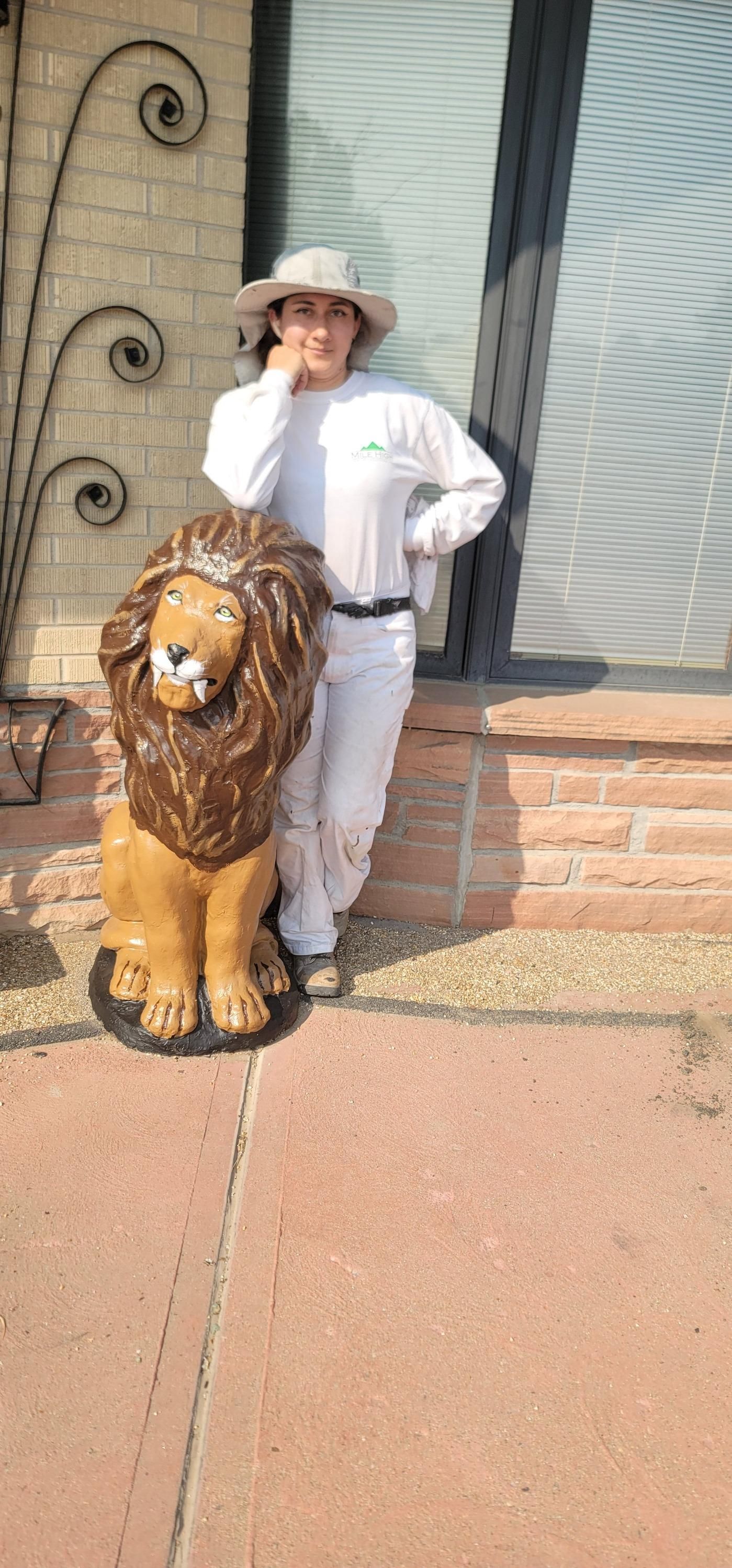 All Photos for Mile High Painting Solutions in Denver, CO