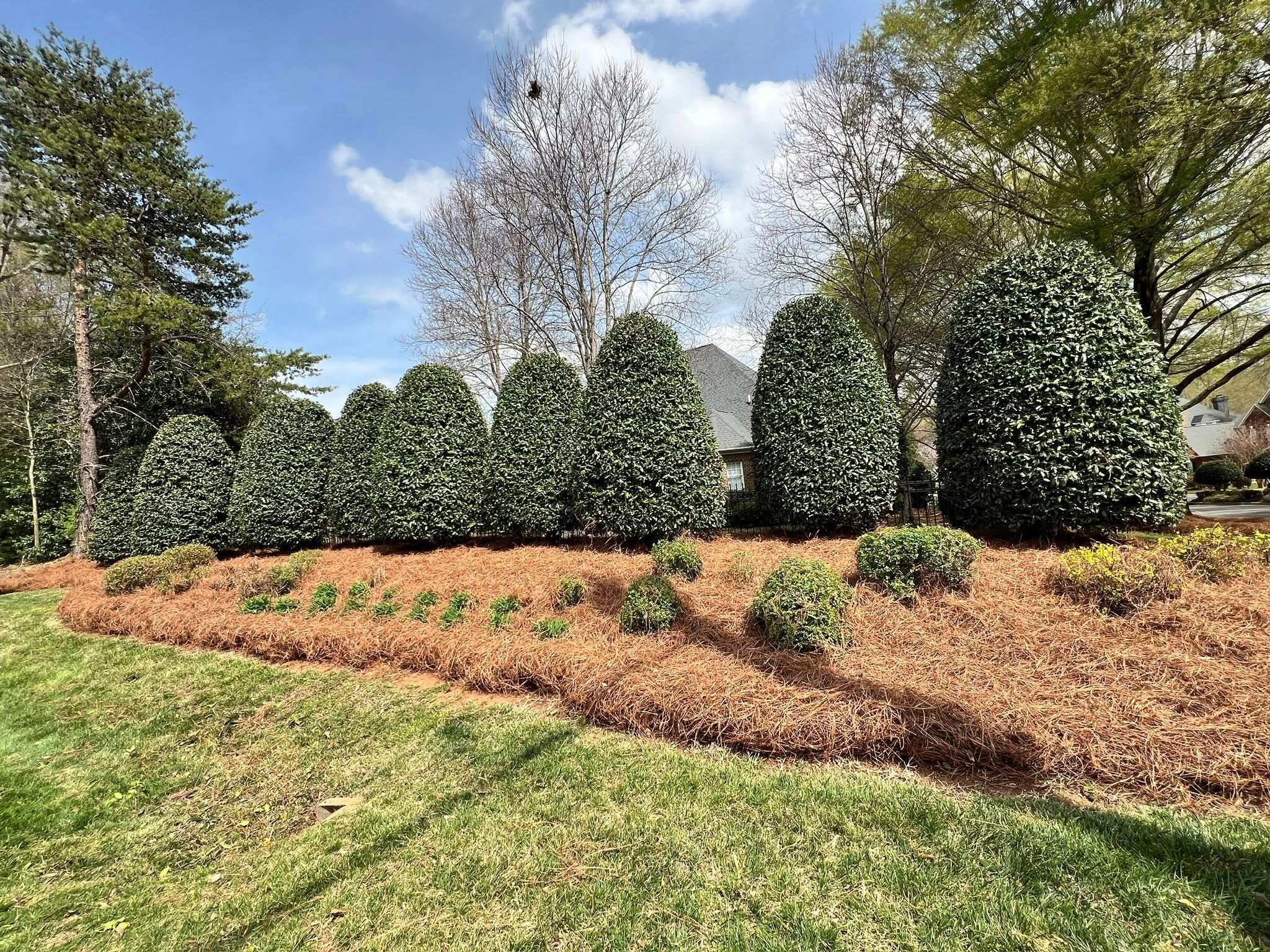 All Photos for Massey Landscapings in Gastonia, NC