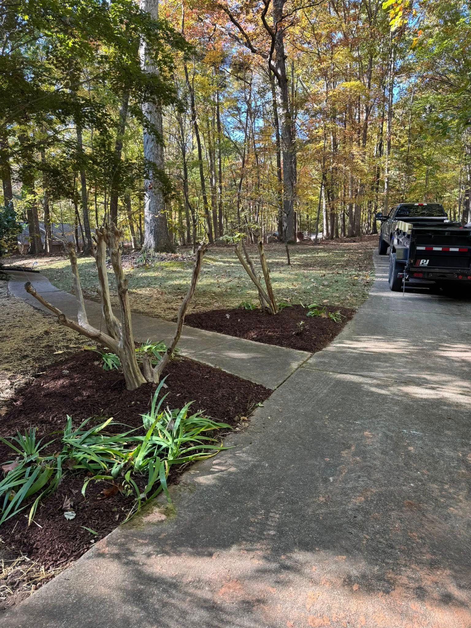  for Done2Day LLC in Wake Forest, NC