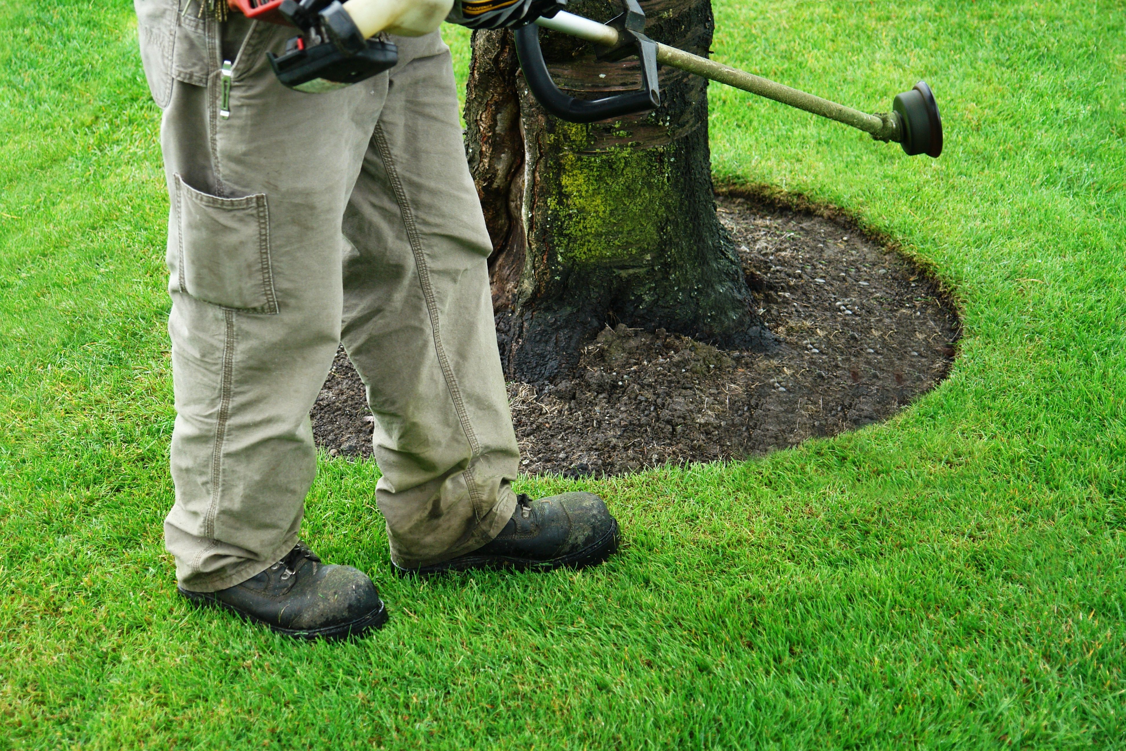 All Photos for A&D Lawn Care of Lakeland in Lakeland, FL