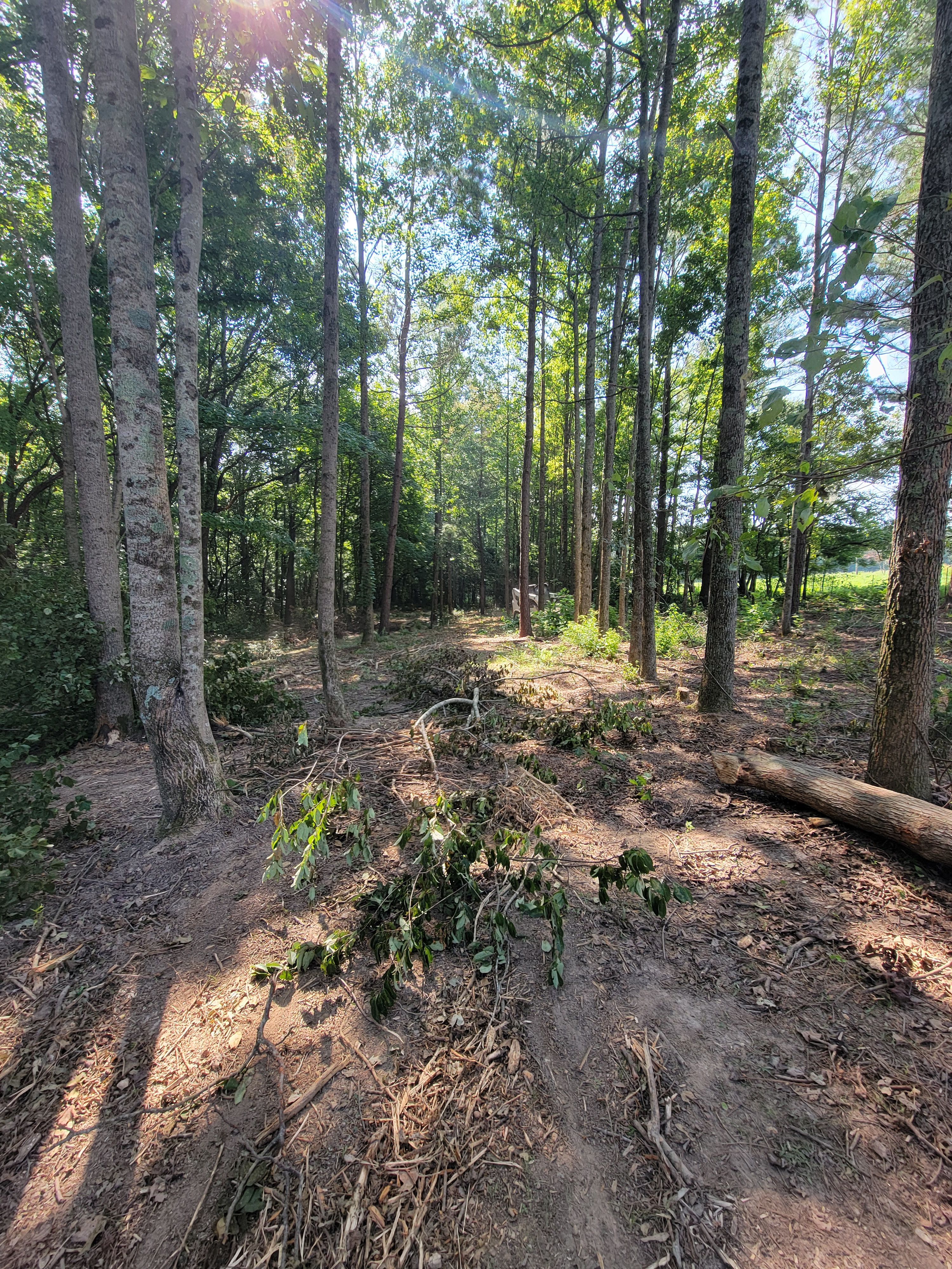  for Z's Land Management & Forestry Mulching in Smithville, TN