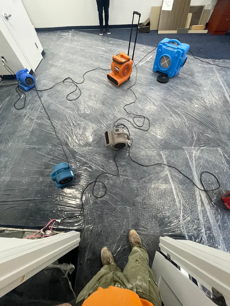  for CertaClean Restoration in Yonkers, NY