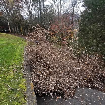  for Lopez Landscaping and Tree Service  in Waynesville, NC