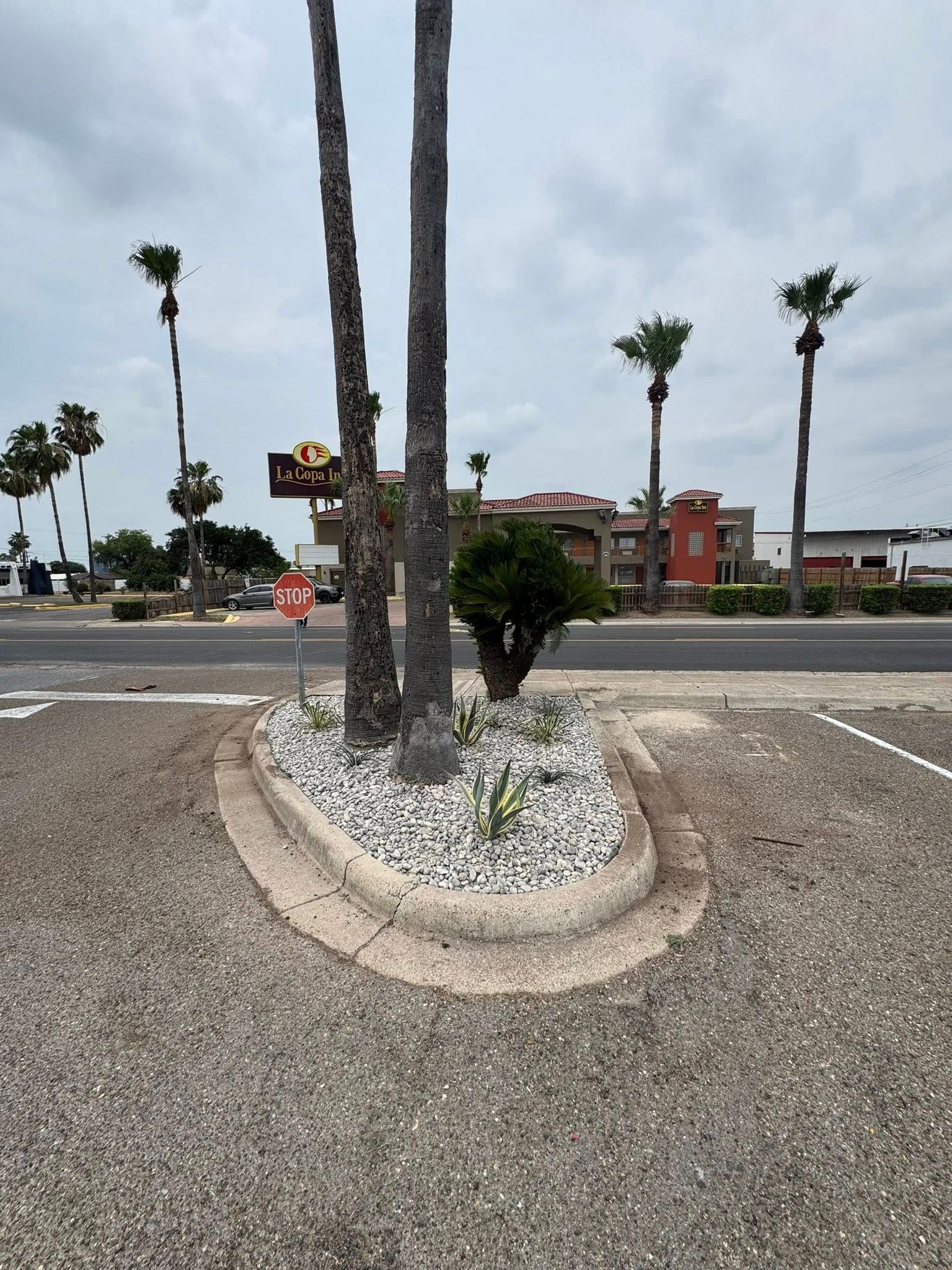All Photos for AllStar Scapes in Edinburg, TX