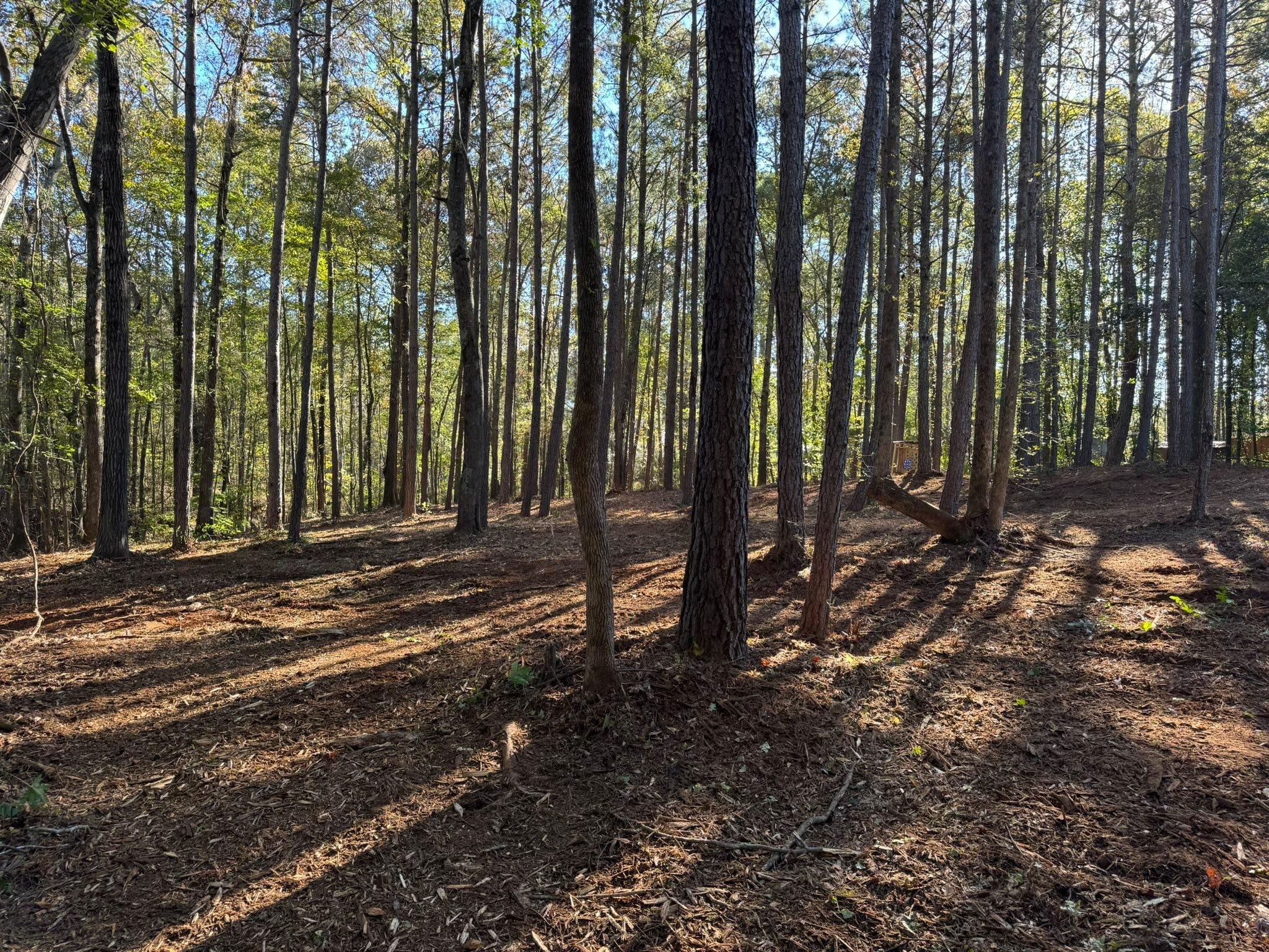  for KLNAX Enterprises in Newton County, GA