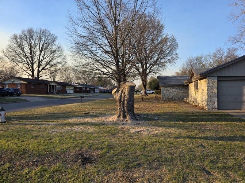 for Oklahoma Tree Guy in Bartlesville, OK