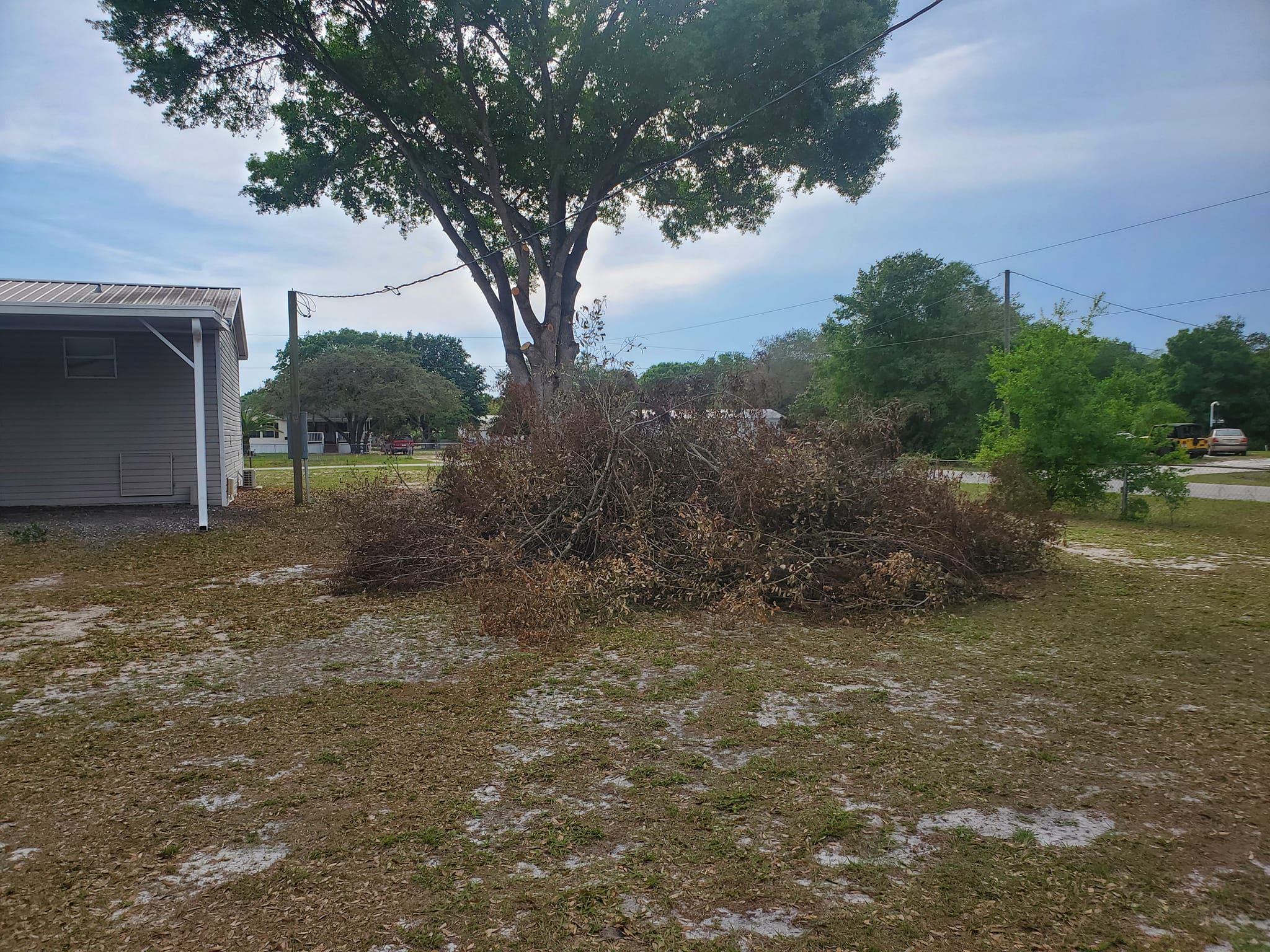 Excavating for Bay Area Bobcat in Riverview, FL