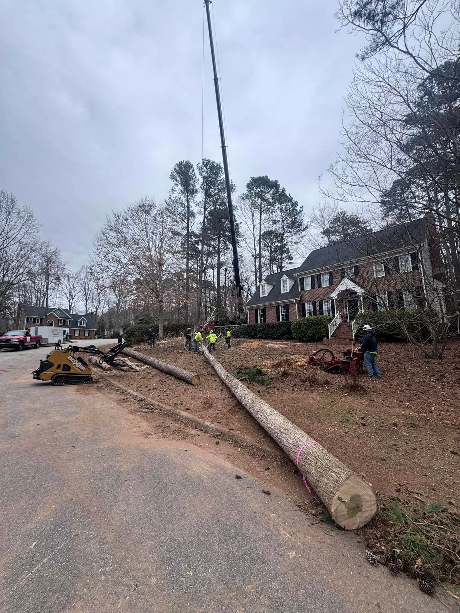  for Diversified Tree Company in Trinity, NC
