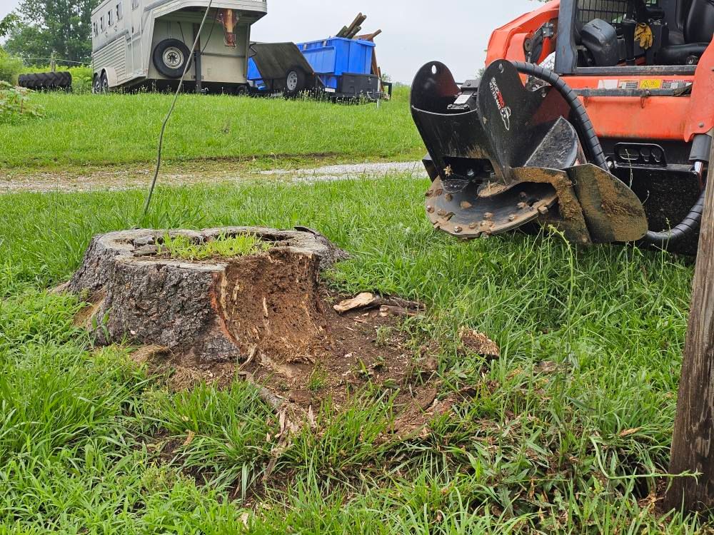  for I and R Stump Grinding in Thornville, OH