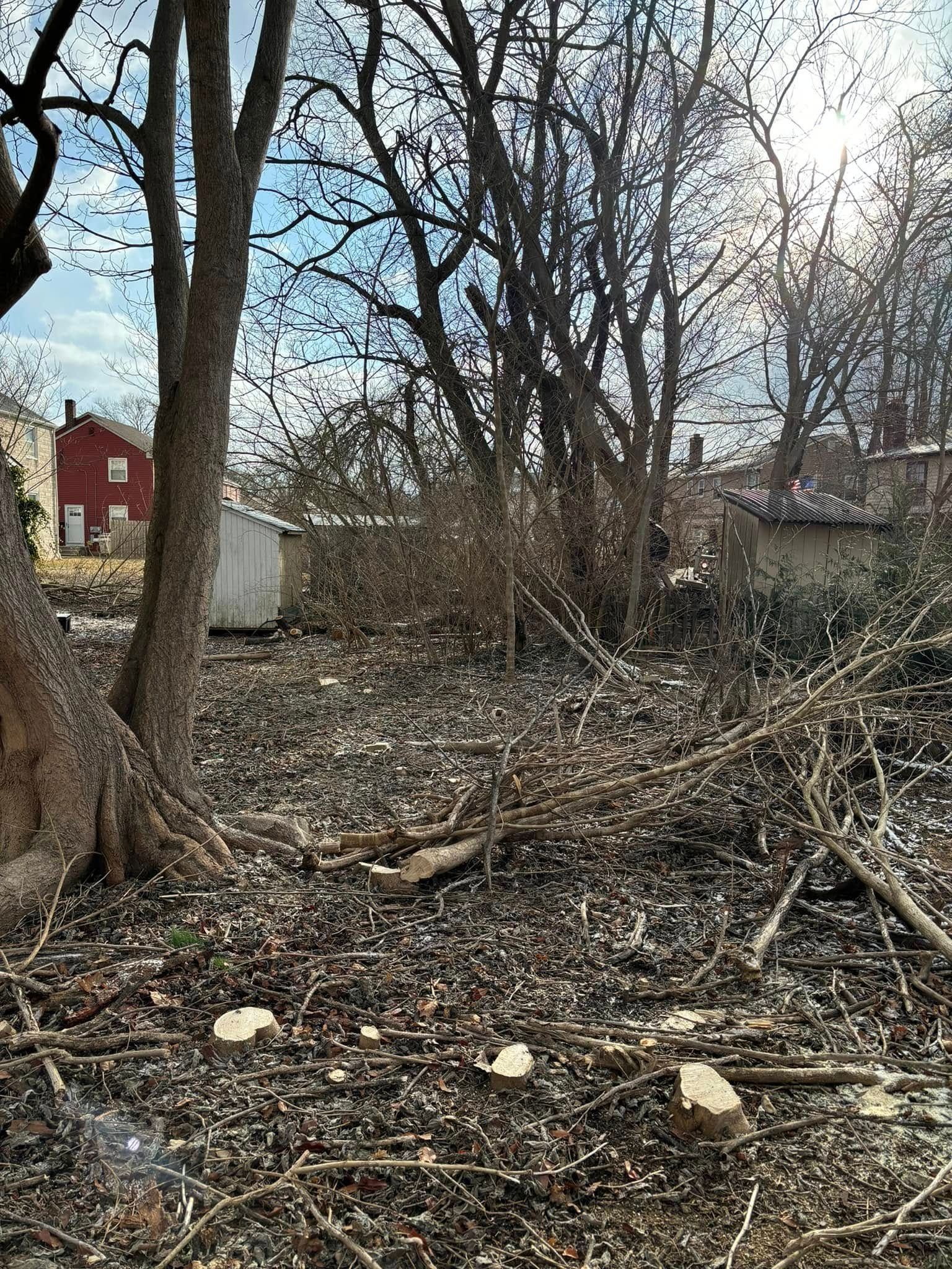 Tree Removal for Melnyk’s Tree Service in Salem County, NJ