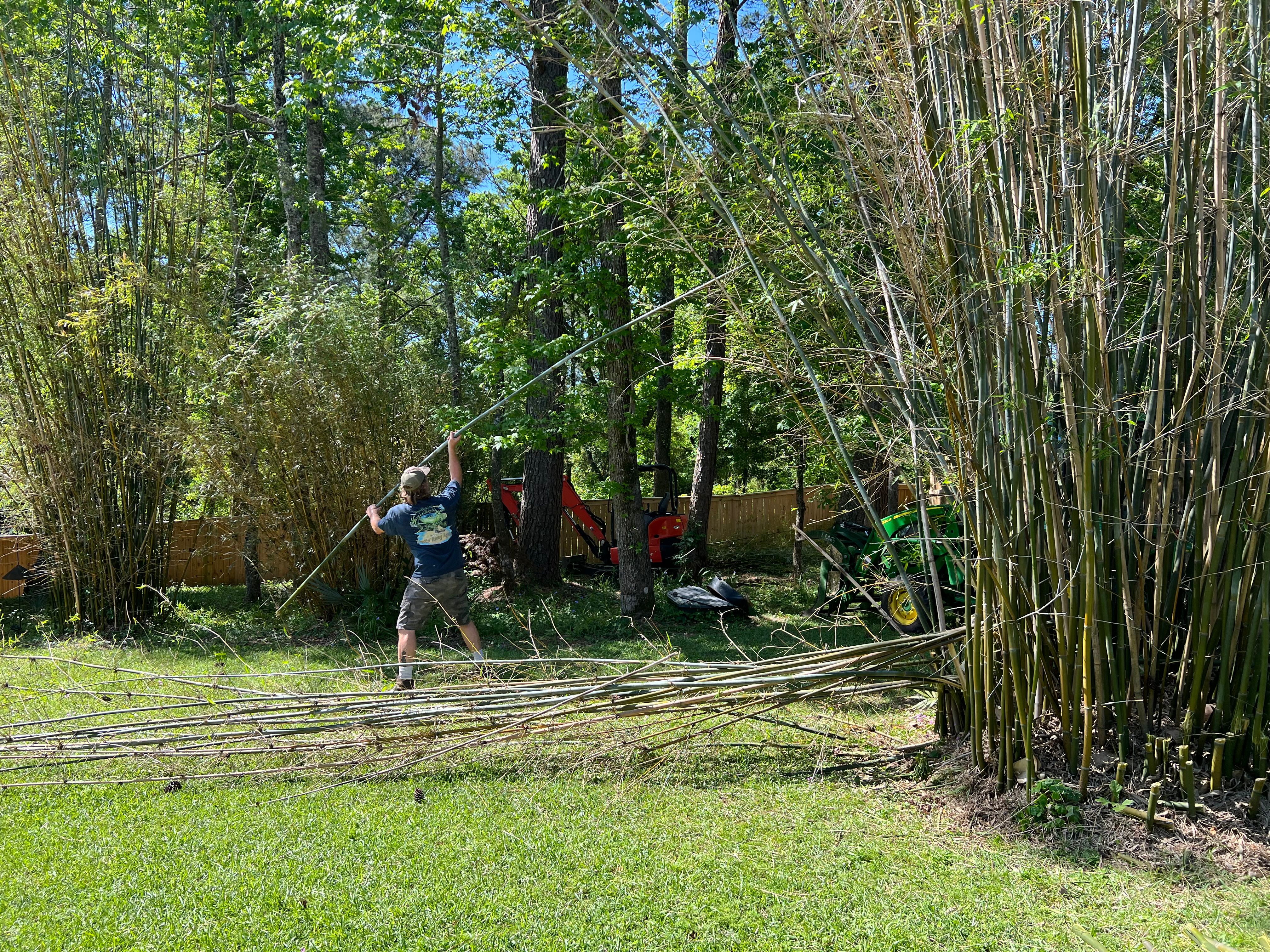  for Southern Venom Services in Daphne, AL