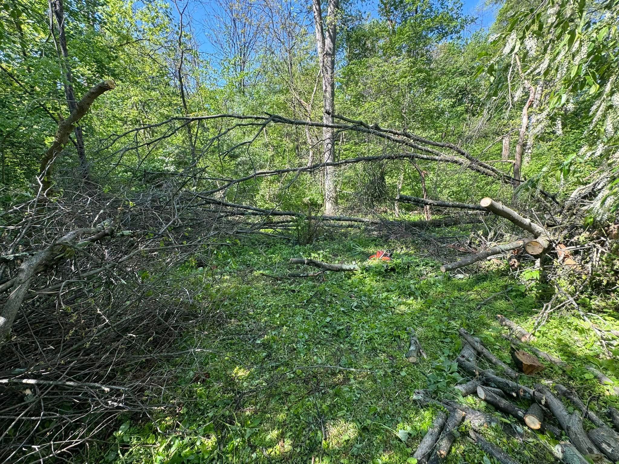  for Beckenbaugh Tree & Lawn Service in Lewistown, PA