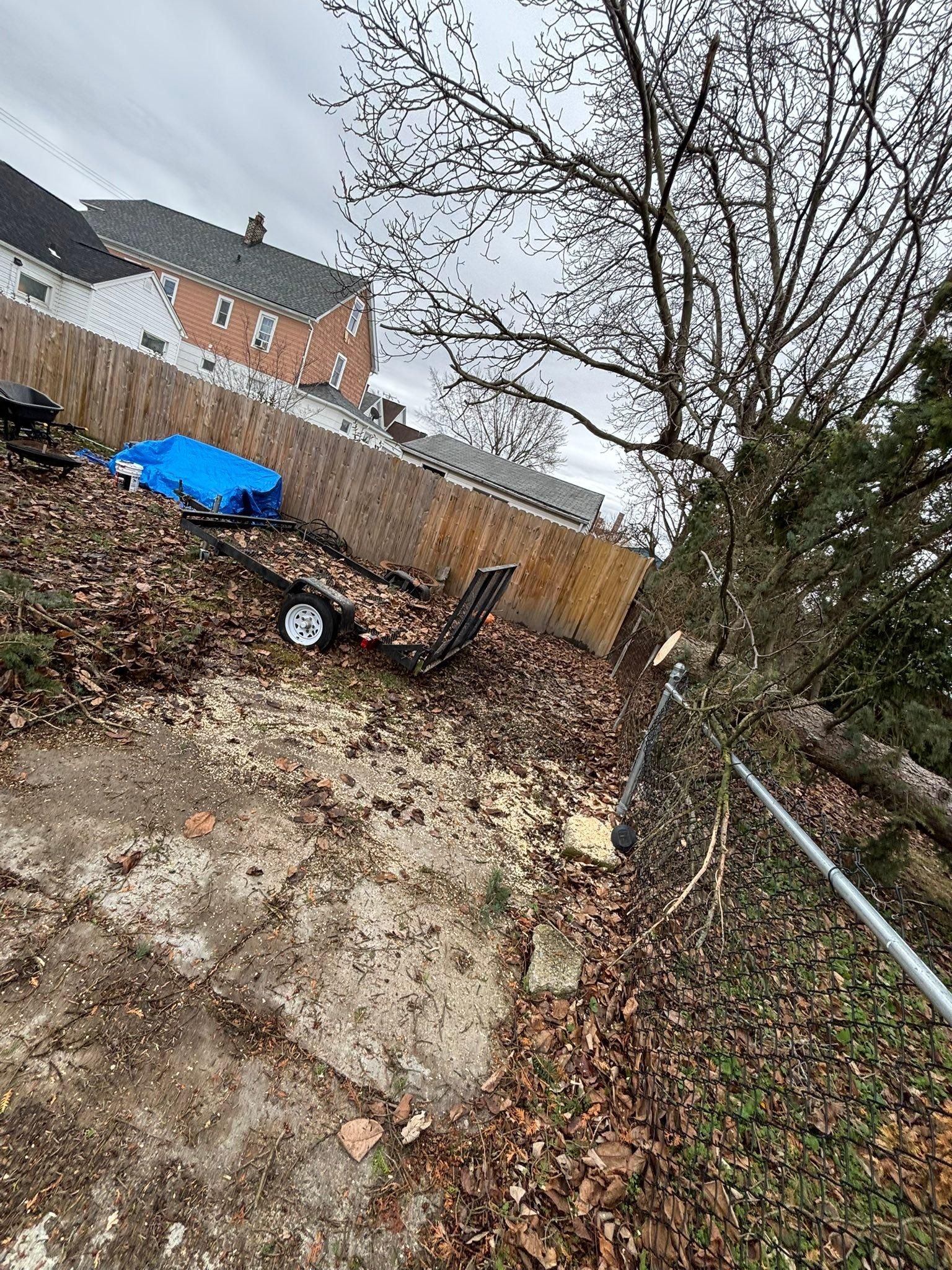  for Hauser's Complete Care INC in Lancaster, NY