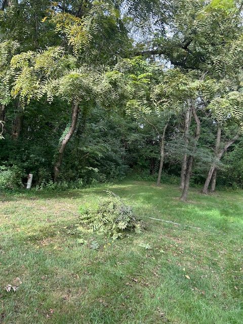 All Photos for Cross Family Tree Service in Kearney, MO