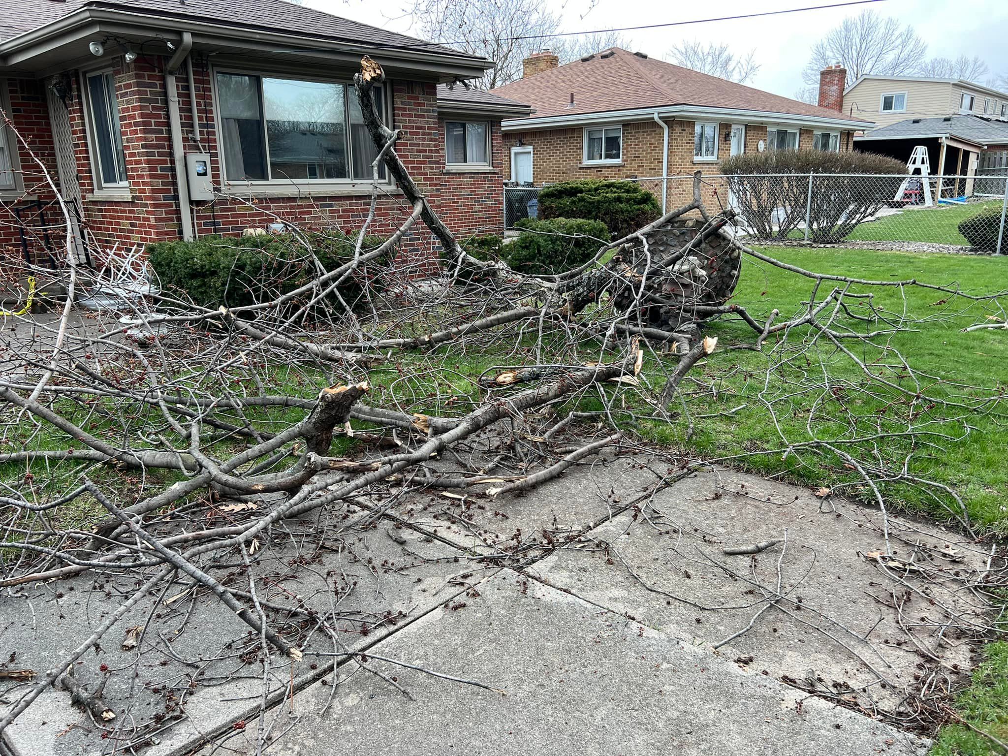  for Macomb Co. Outdoor Services in Macomb County, MI