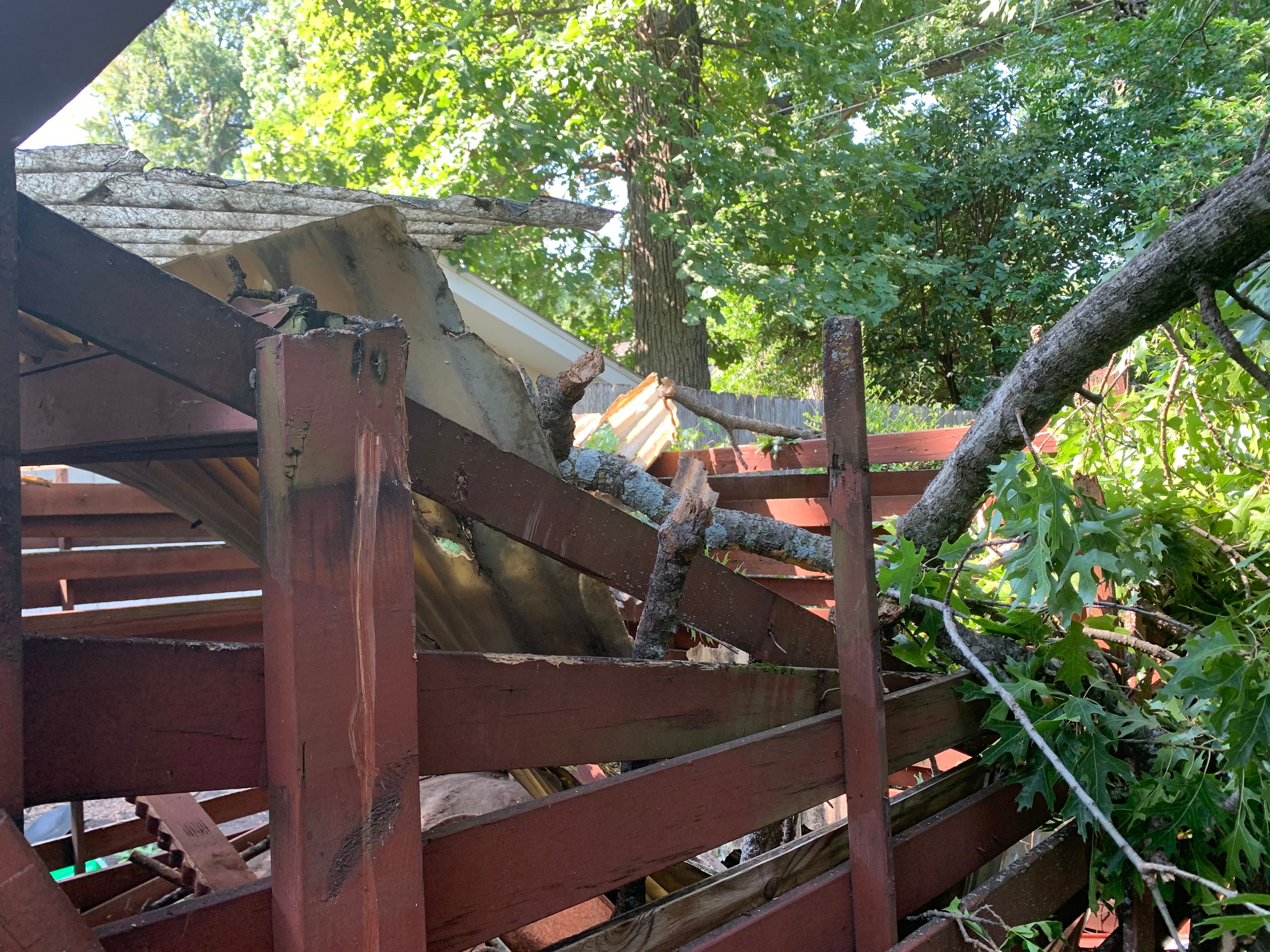  for TLC Professional Tree Service in Bedford, TX