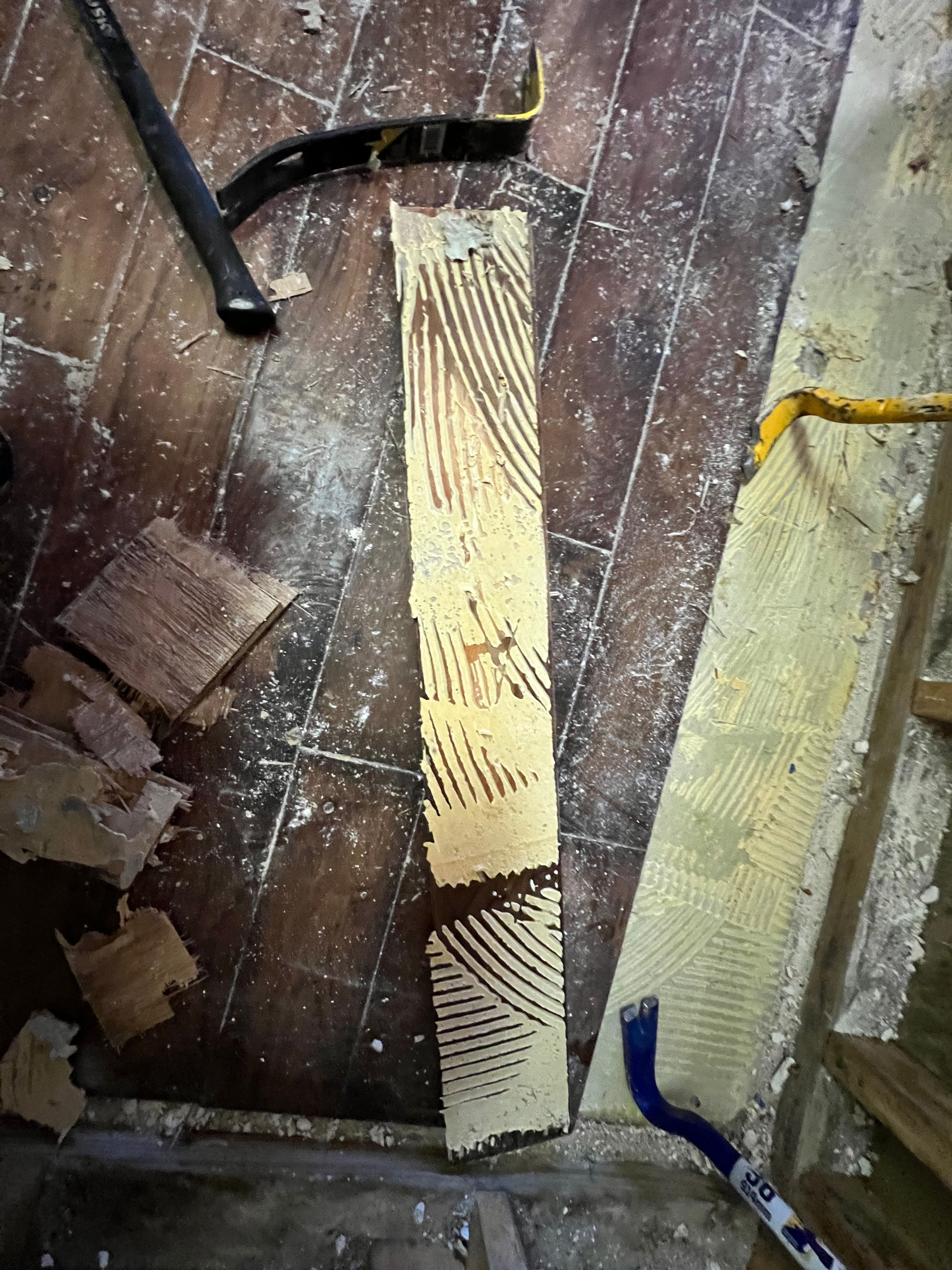  for N&D Restoration Services When Disaster Strikes, We Come In in Cape Coral,  FL