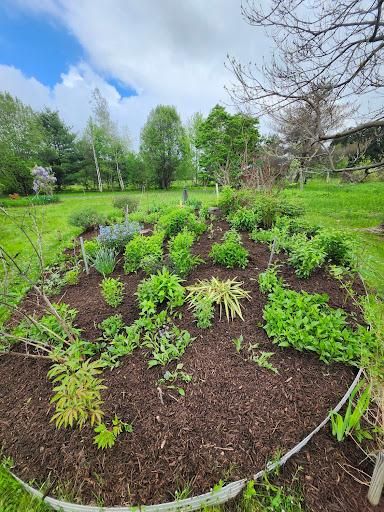  for Landscape Innovations LLC in Torrington, CT