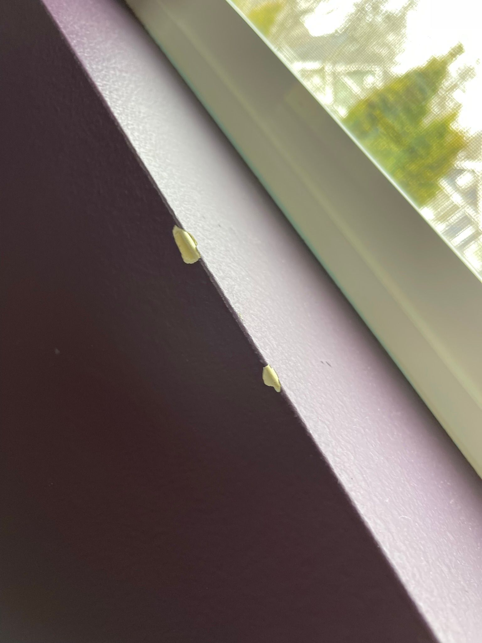  for Tony's Remodeling & Painting in Renton, WA