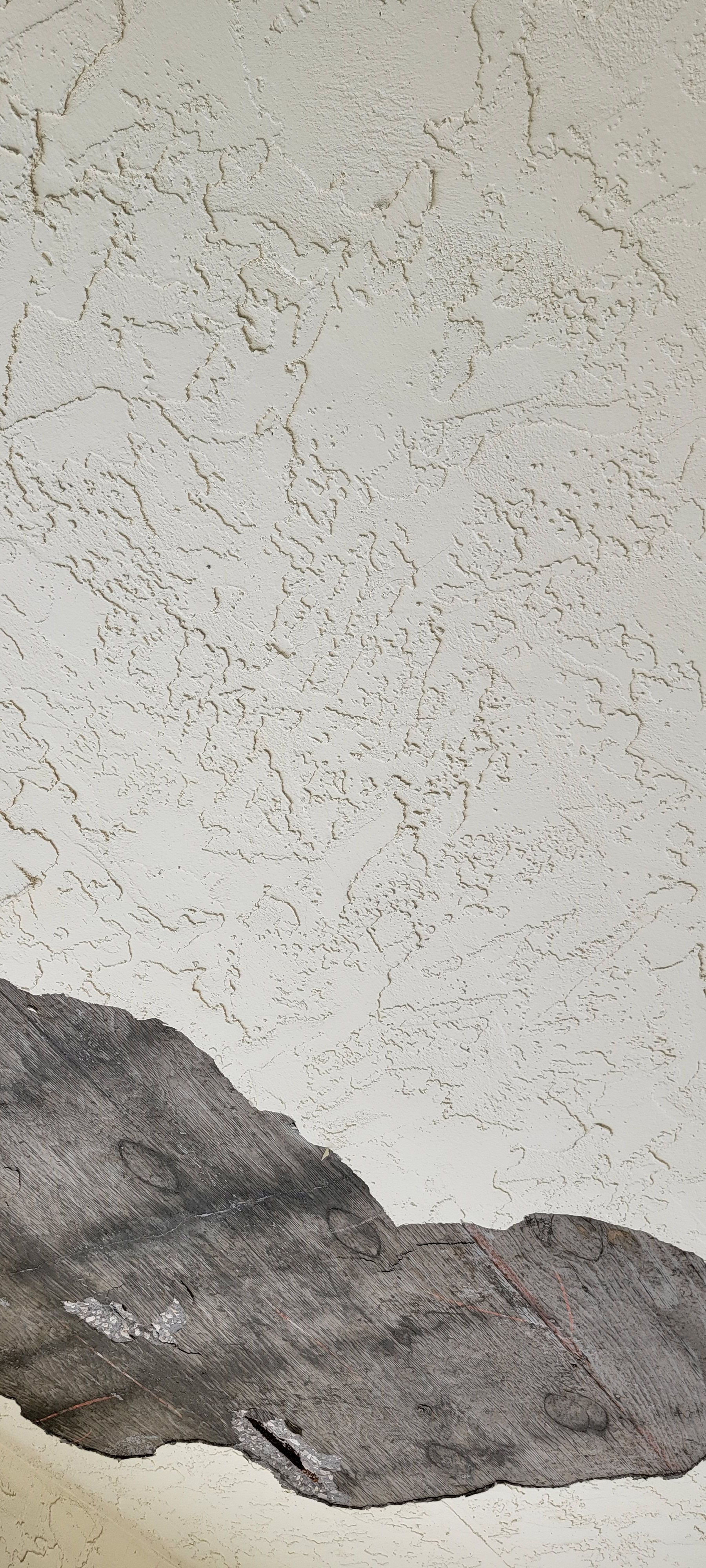  for Millenium Construction & Property Management in Tampa, FL