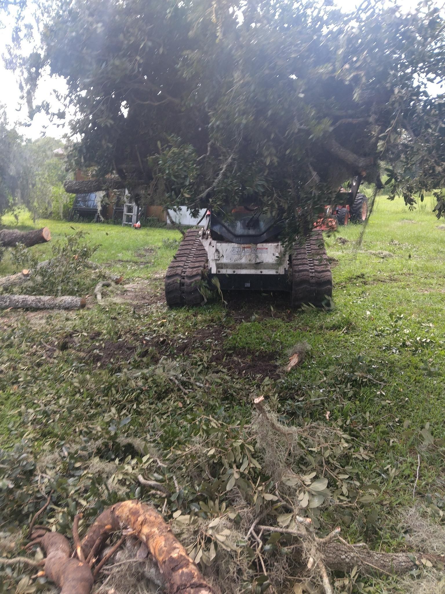  for Bills Tree Service in Valrico, FL