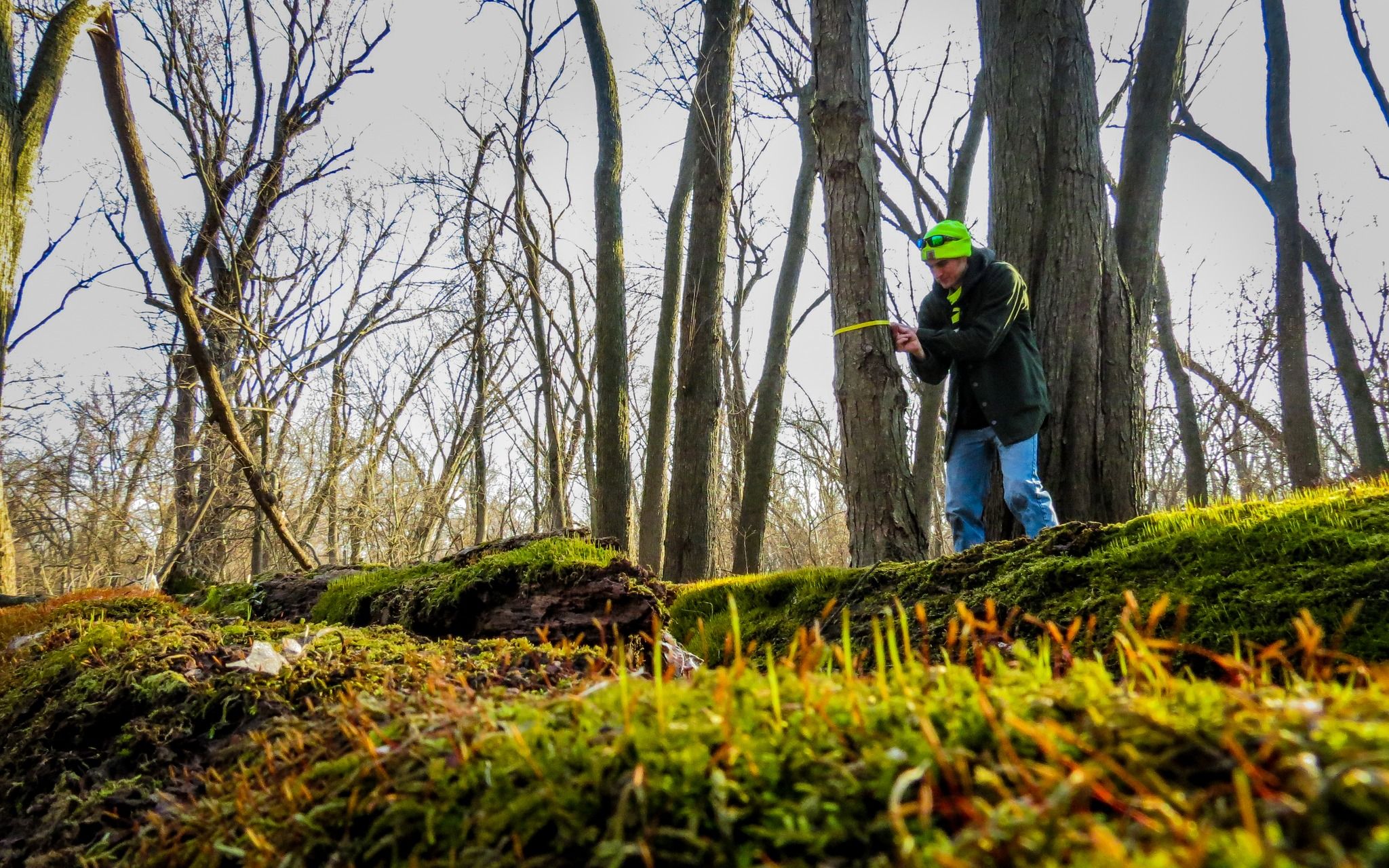  for Bluffside Forestry in Cedar Rapids, IA
