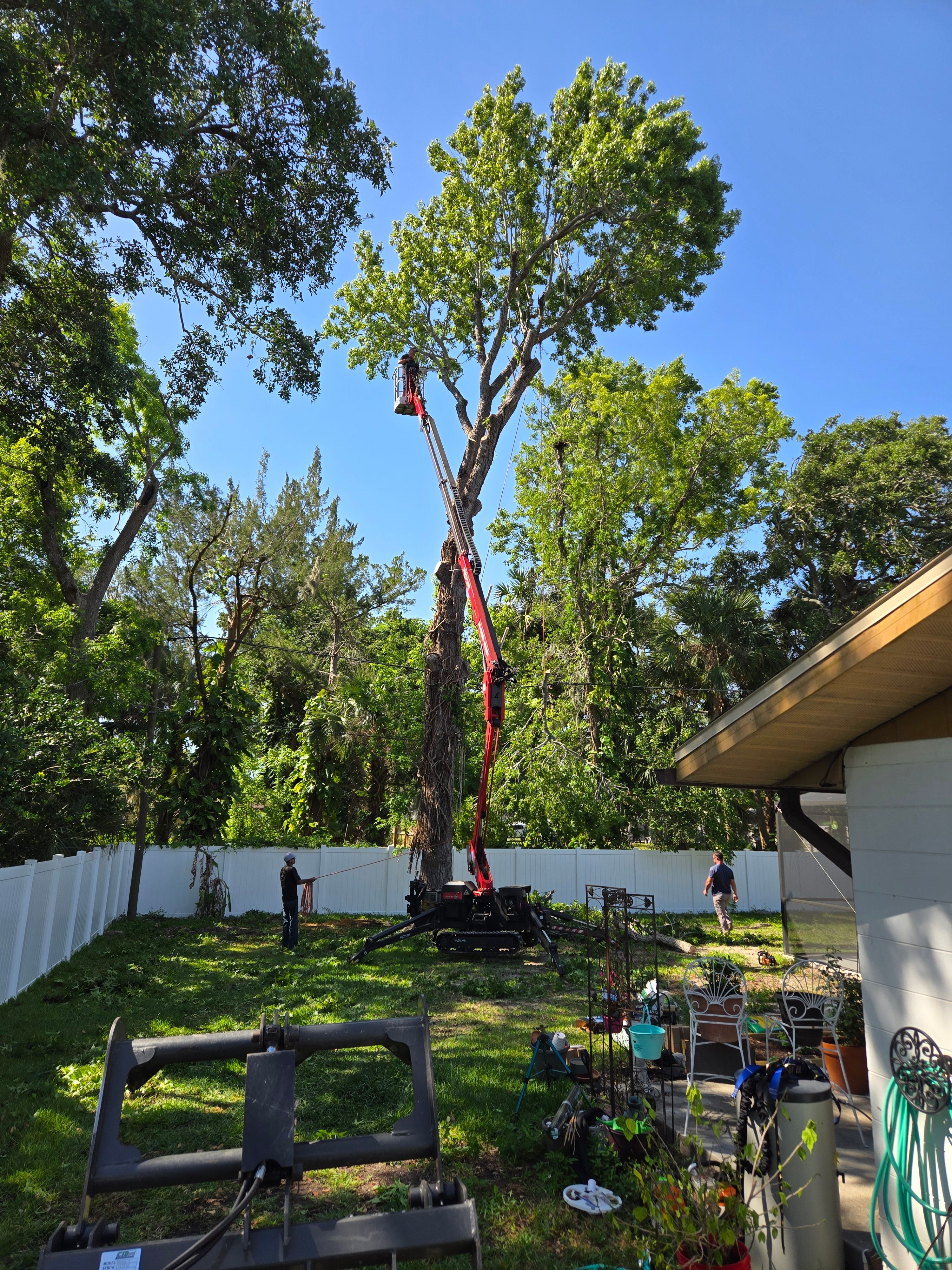 All Photos for Near Me Tree Service, Inc. in DeLand, FL