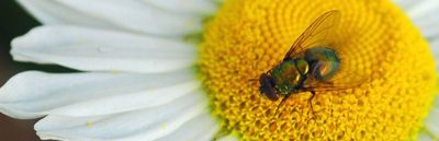 All Photos for Stonecreek Solutions in Sulphur Springs, TX